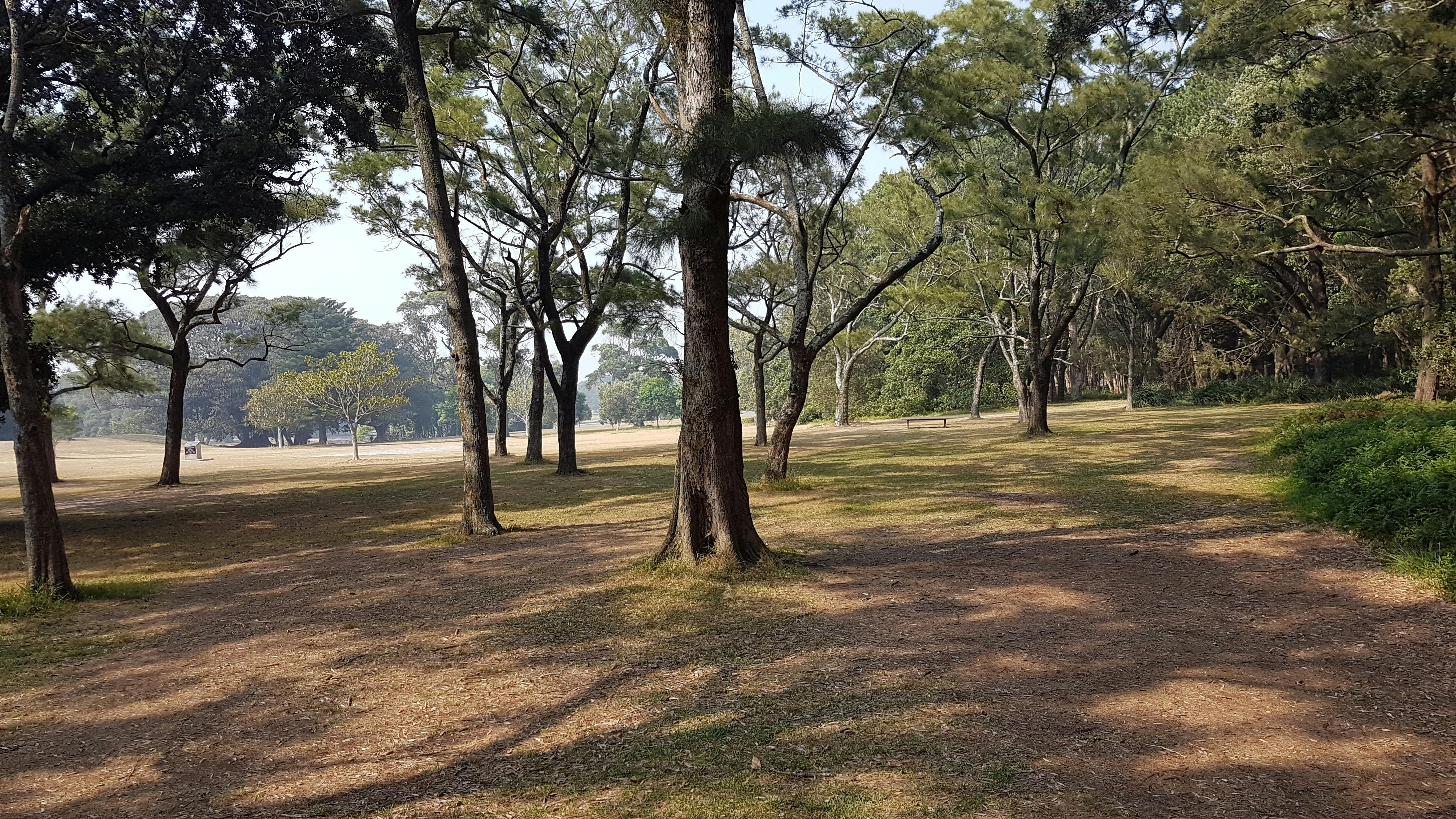 Tai-Chi in Centennial Park Sydney