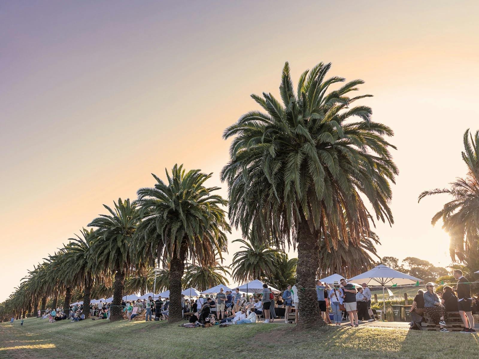 Sunset on Seppeltsfield Road Barossa Valley Event