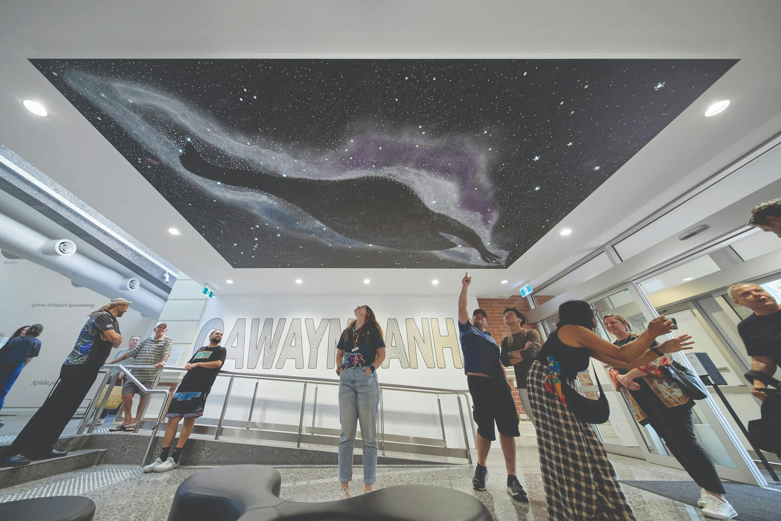 People looking up at a painting on the ceiling of the shape of an emu in a milky way