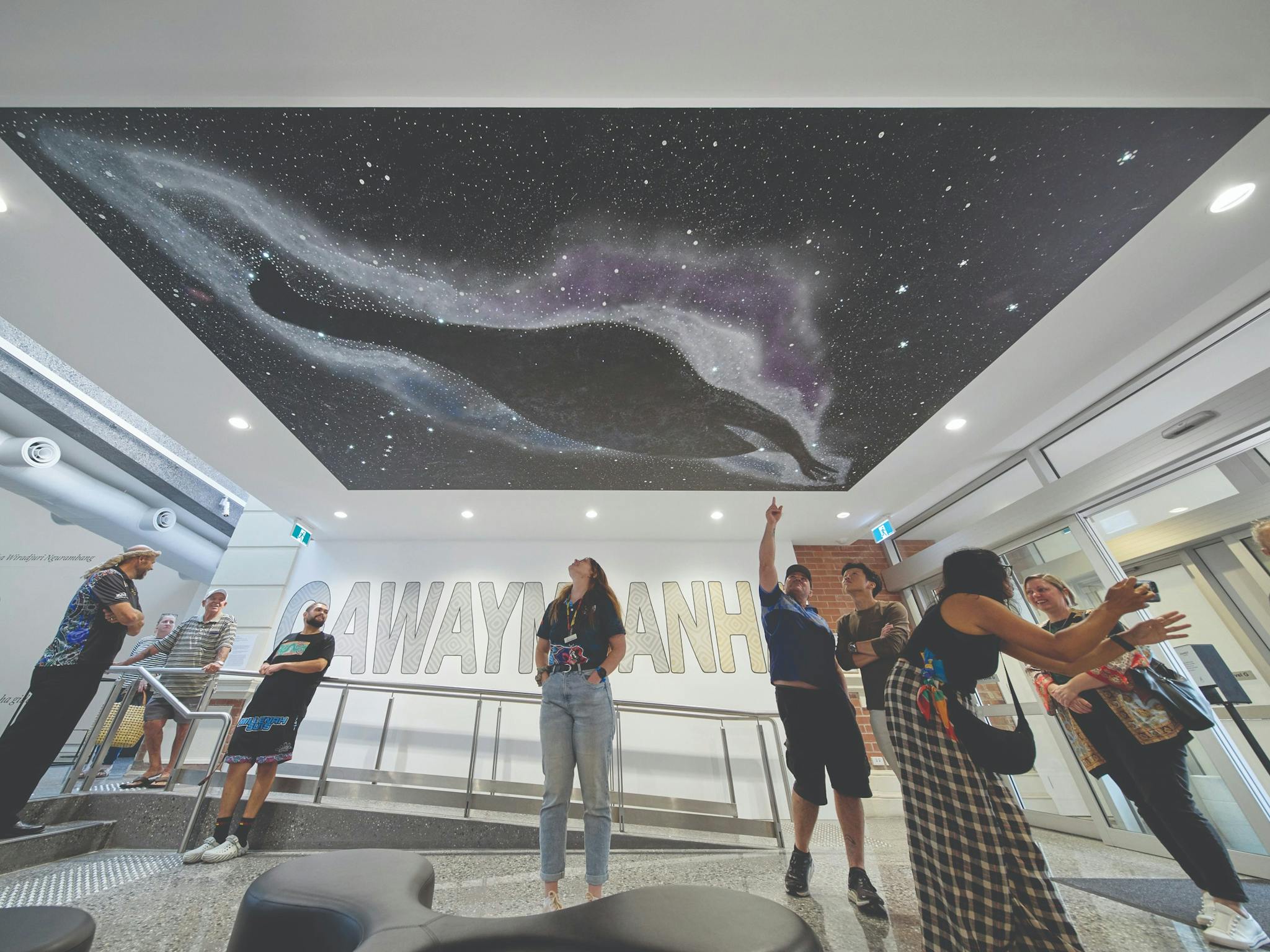 People looking up at a painting on the ceiling of the shape of an emu in a milky way