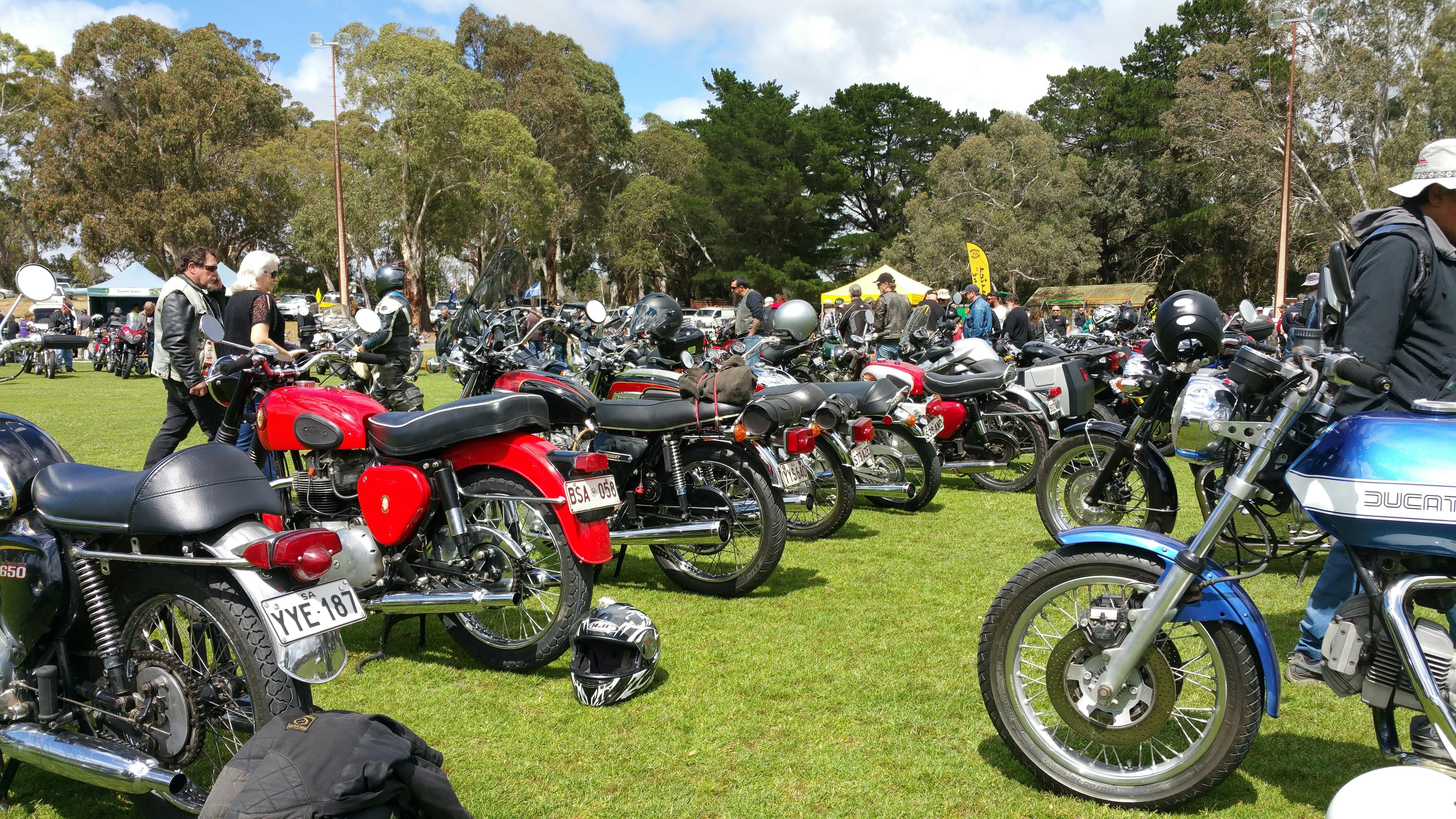 All makes and model on display