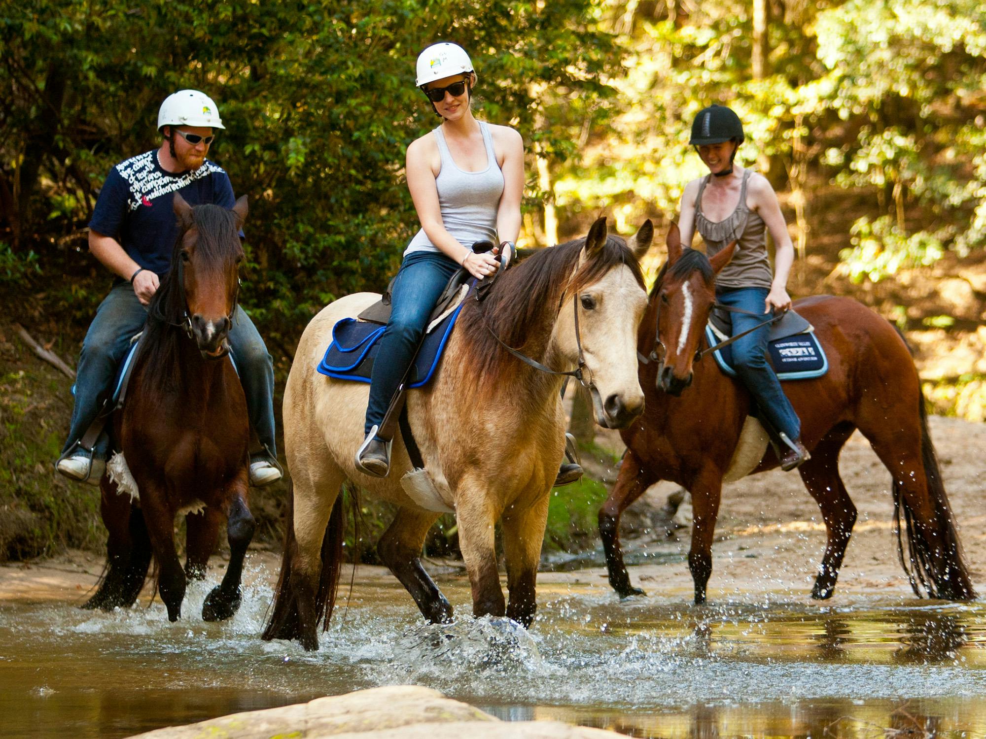 Horse Riding, Koalas and Kangaroos - Wild Australia: Private Tour