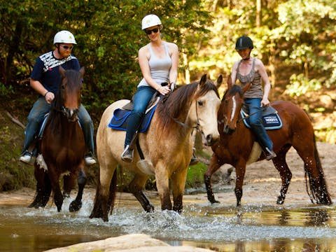 Horse Riding, Koalas and Kangaroos - Wild Australia: Private Tour