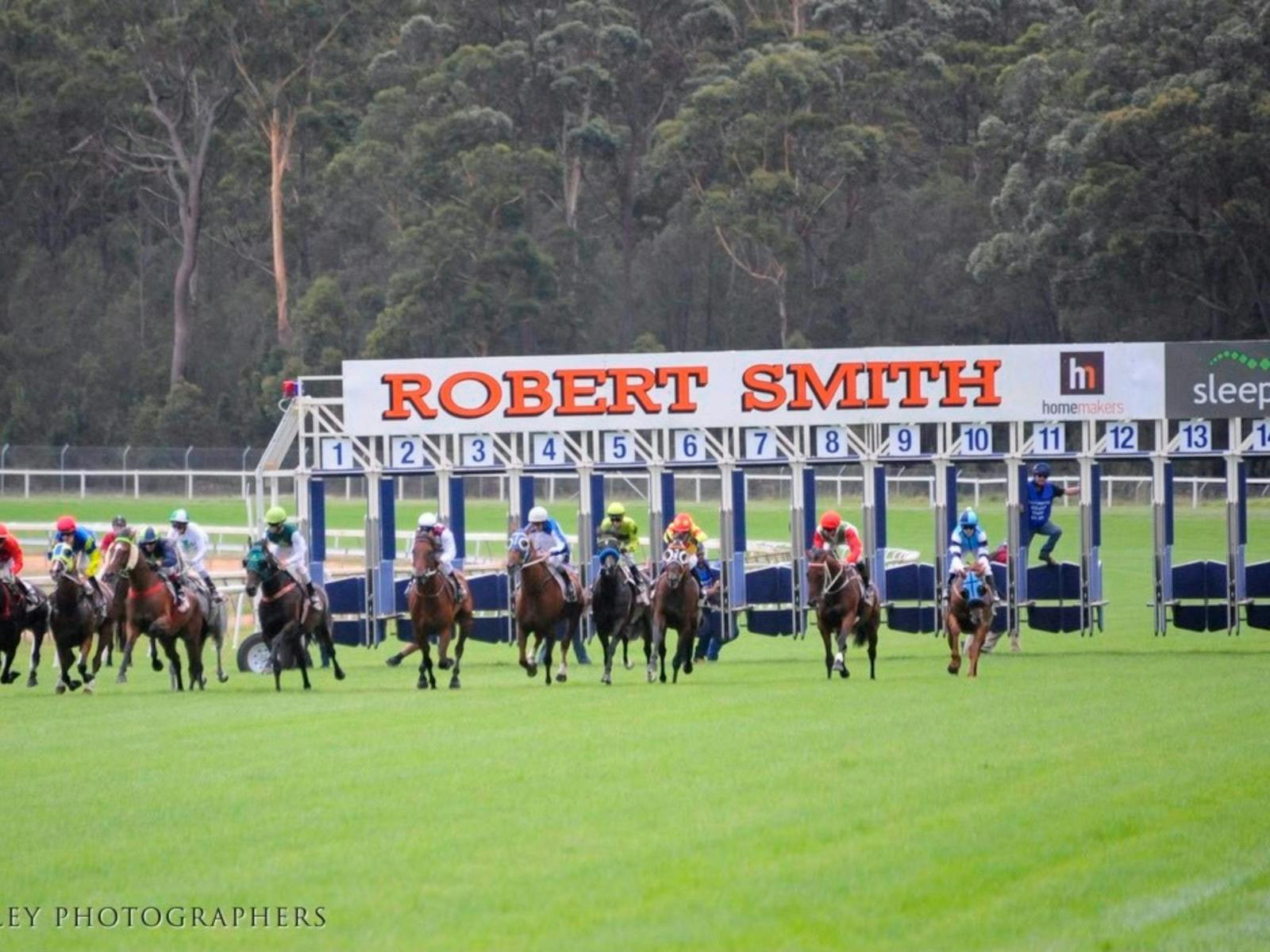 Image for South Coast Timber Eden Cup Race Day