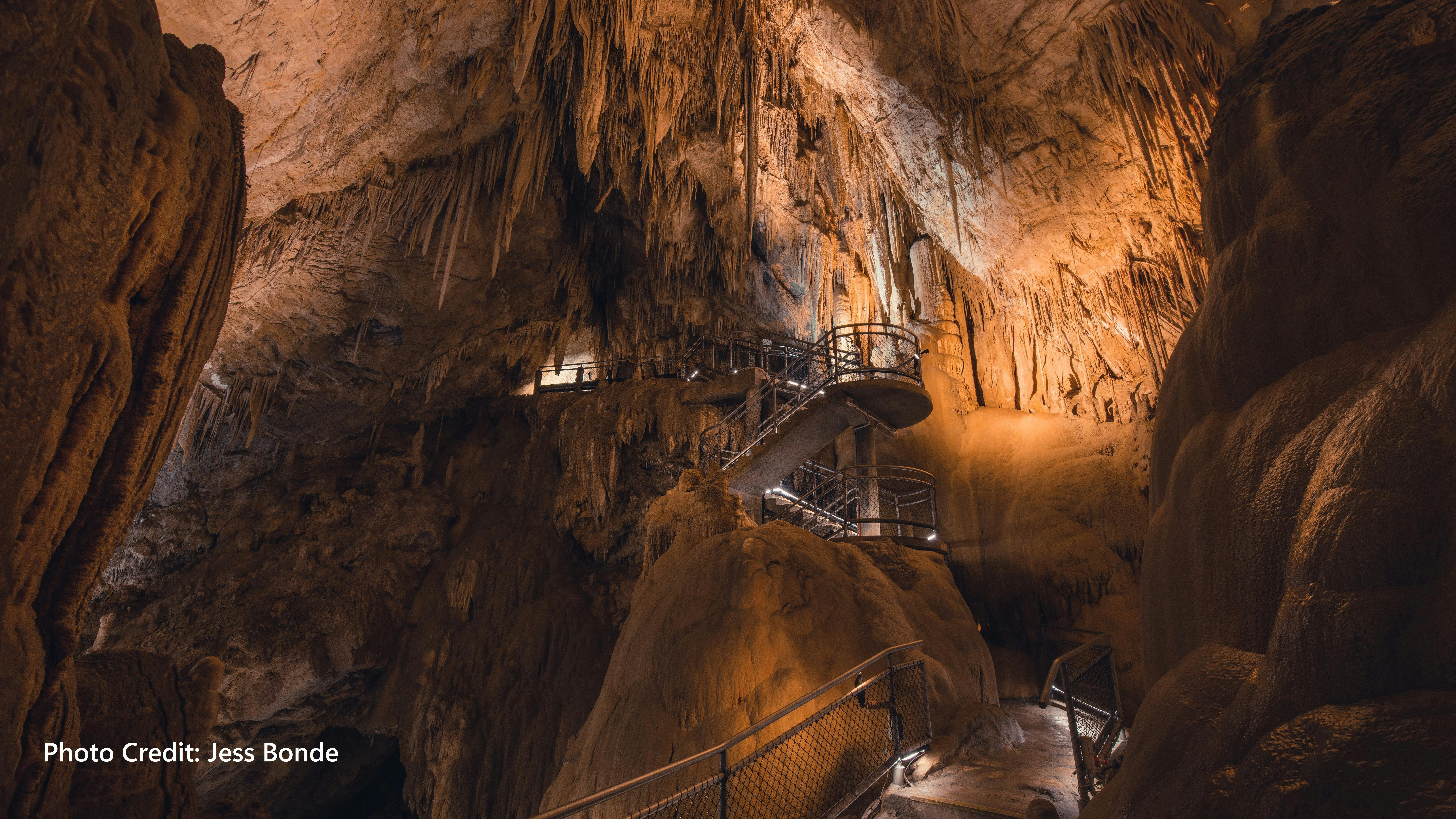 Hastings Cave with its magnificent stalagtites