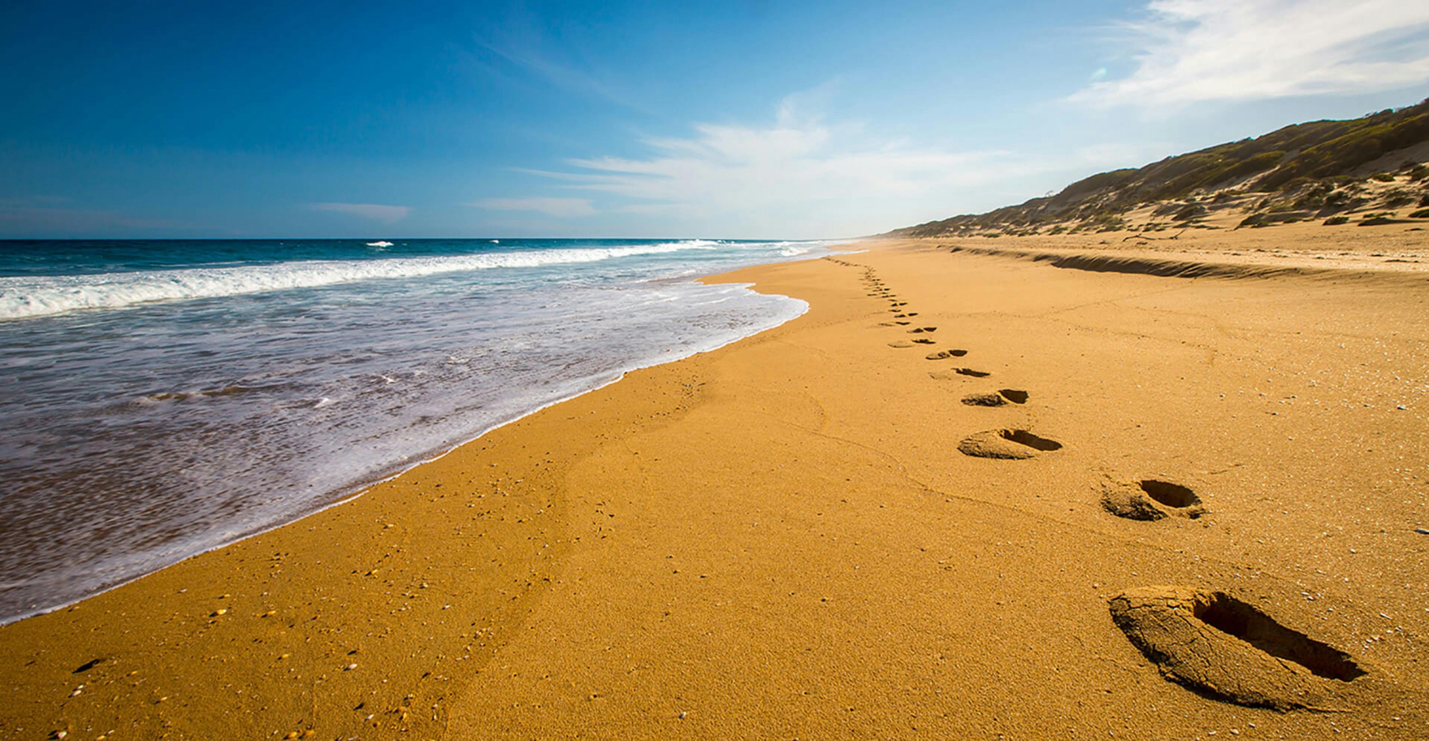 End of Summer Surf Festival Art Exhibition