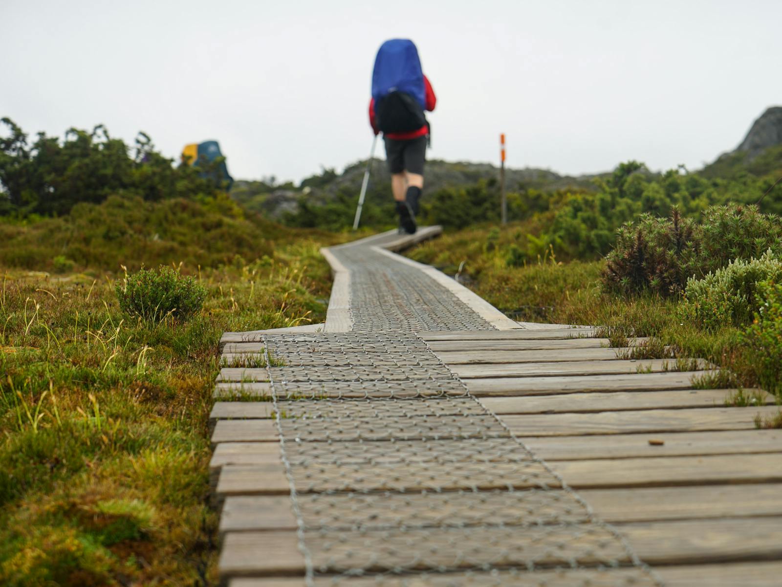 Tack Walk Overland Track Walk | Tour | Discover Tasmania