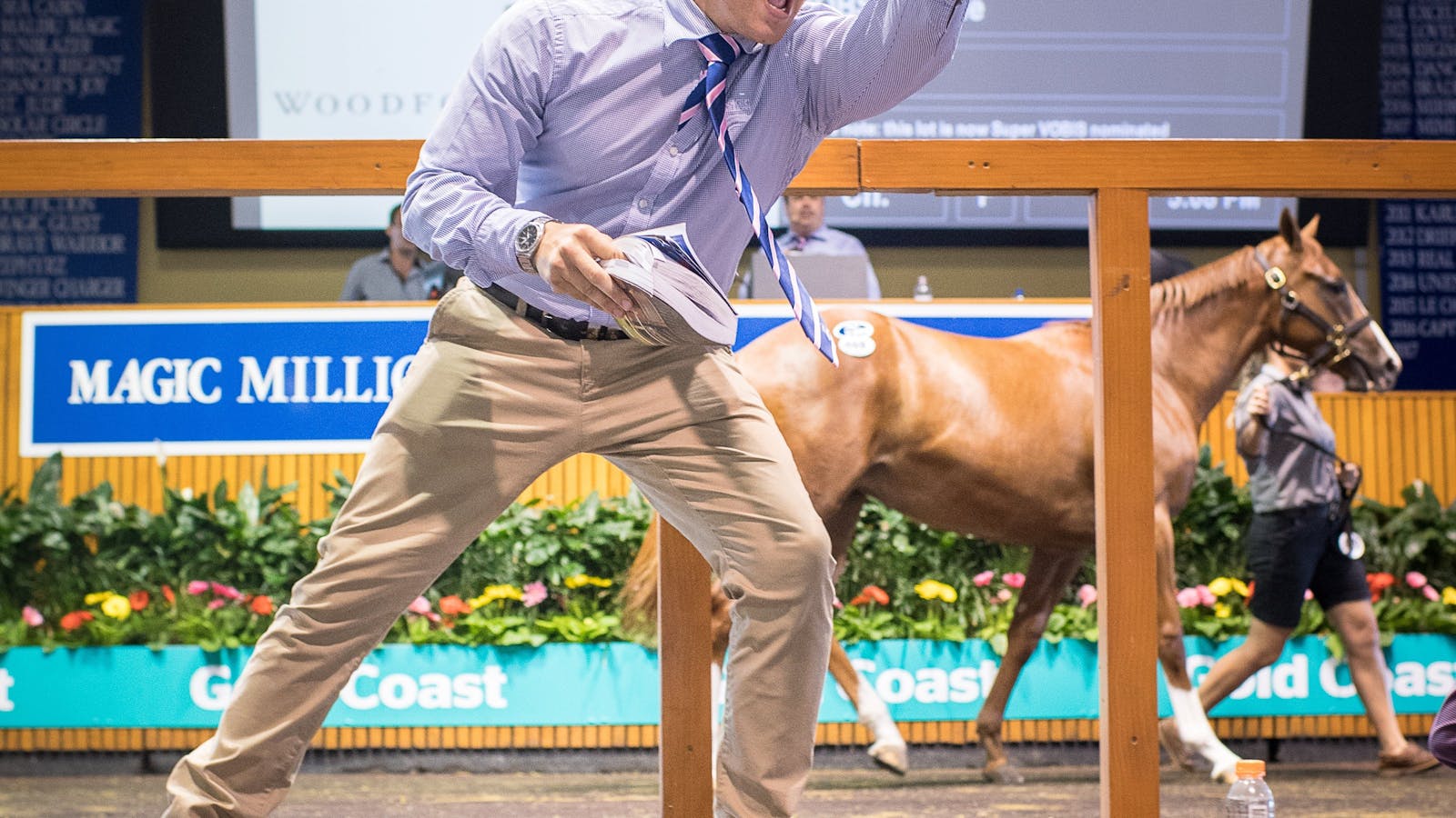 Image for Magic Millions Gold Coast Yearling Sale