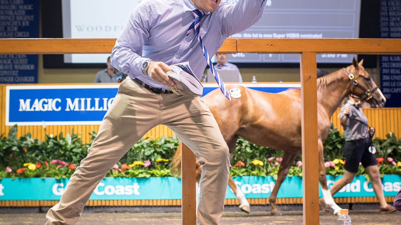 Image for Magic Millions Gold Coast Yearling Sale 2022