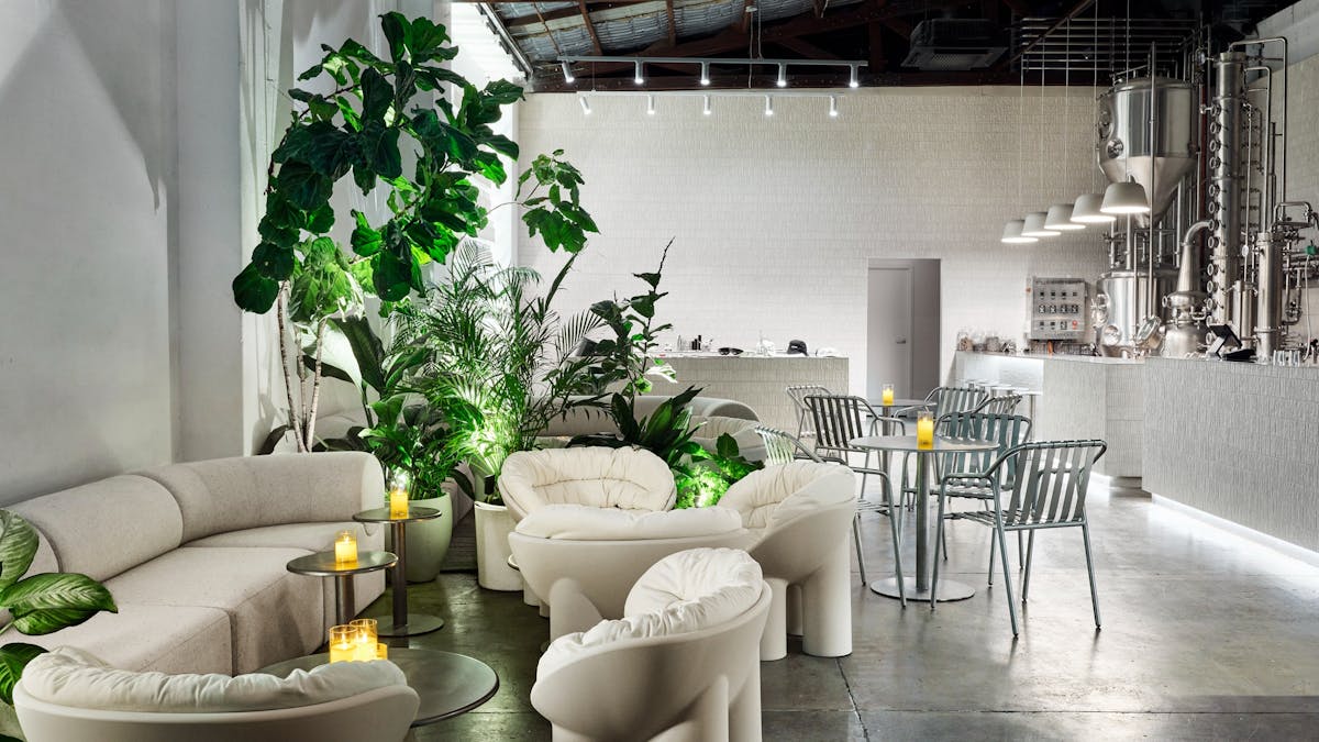 Cafe and bar seating area