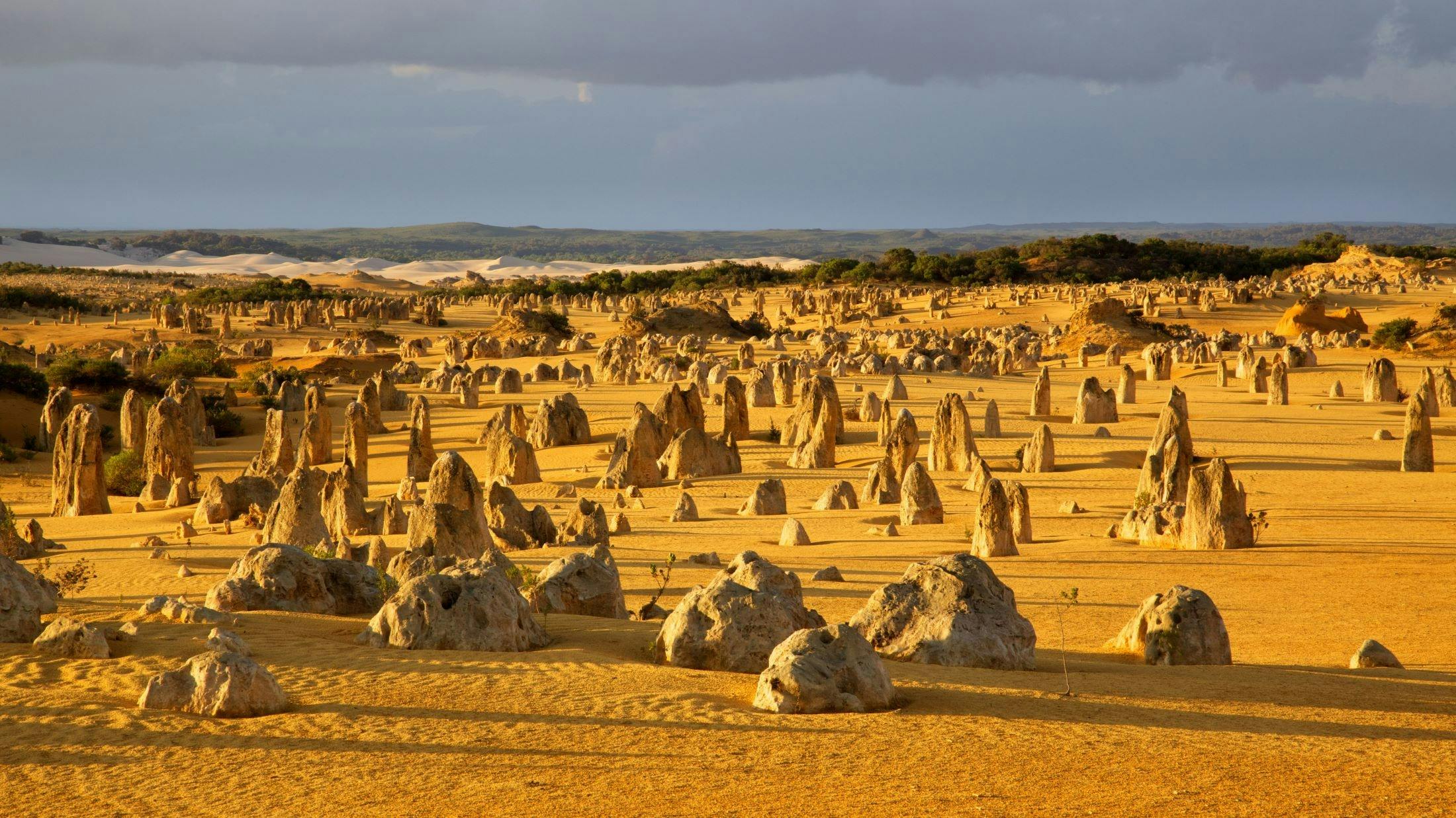 Pinnacles Nambung National Park
