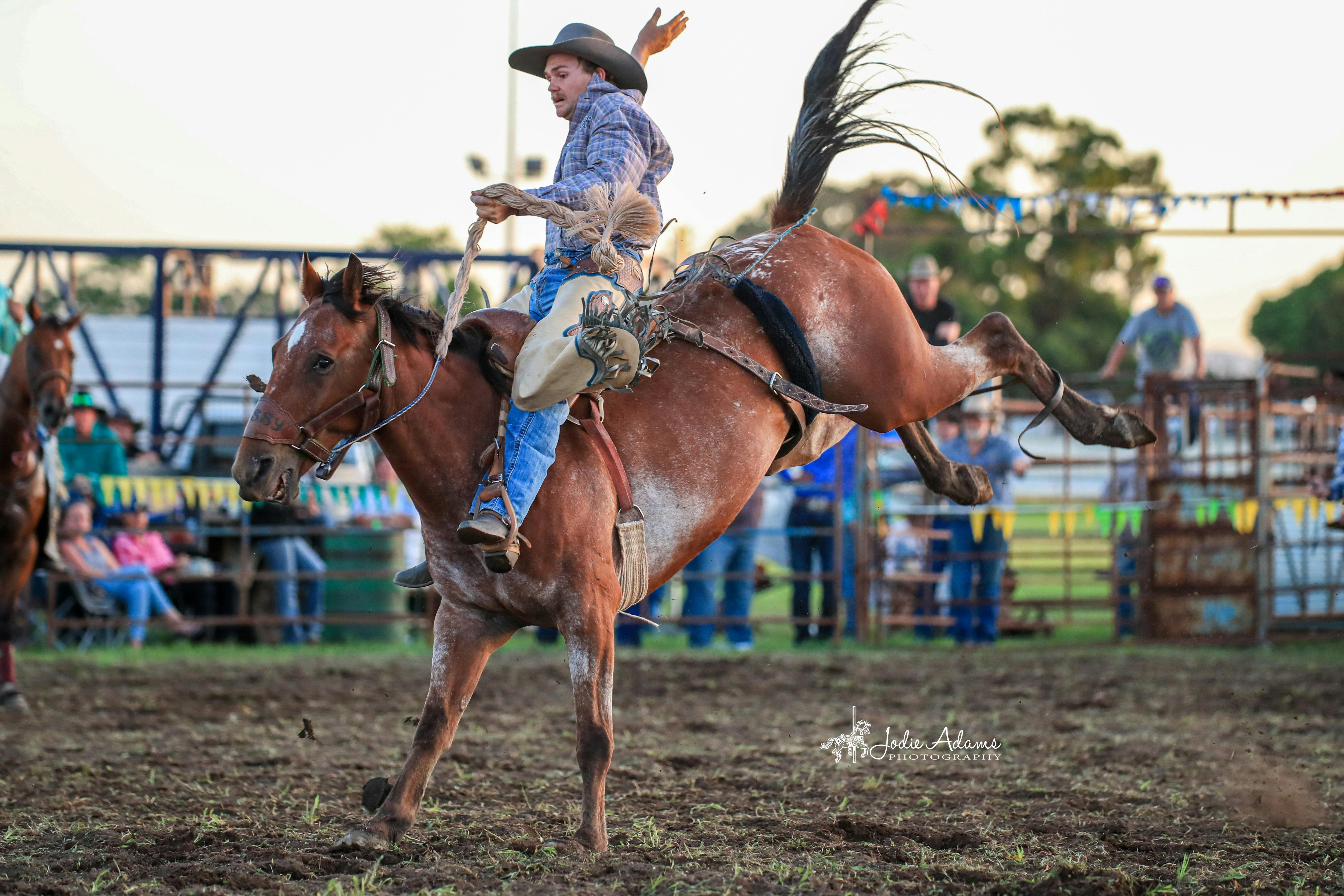 Maitland Rodeo