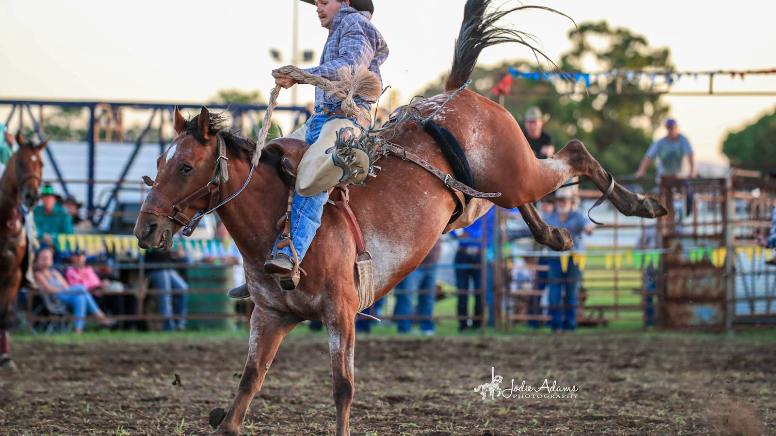 Maitland Rodeo