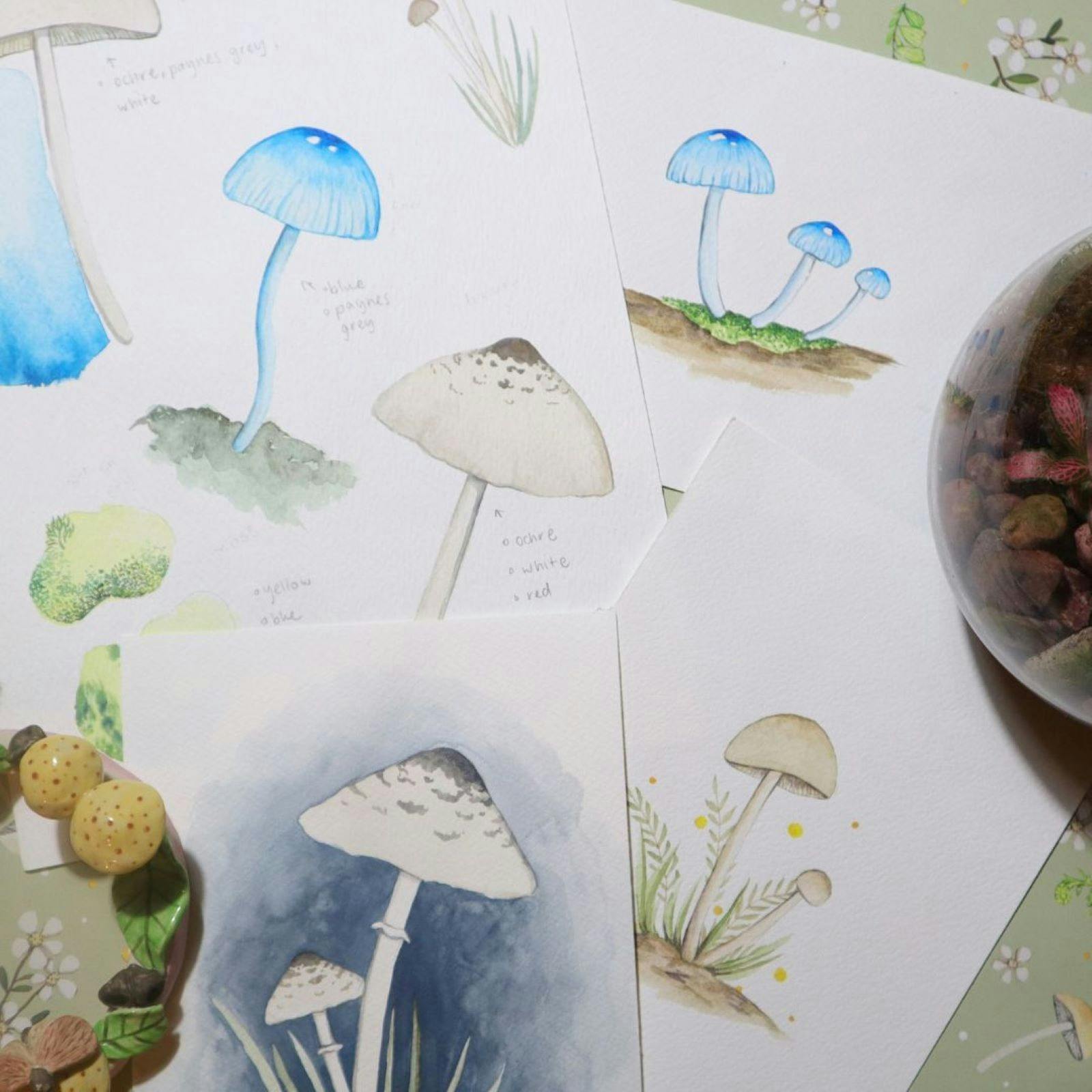 wayer colour painting