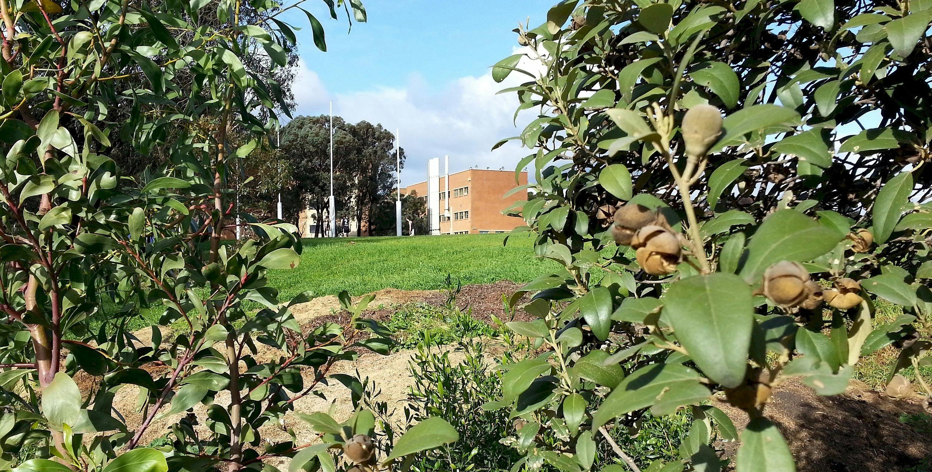 Guided Walk through Ellis Park / Tampawardli (Park 24)