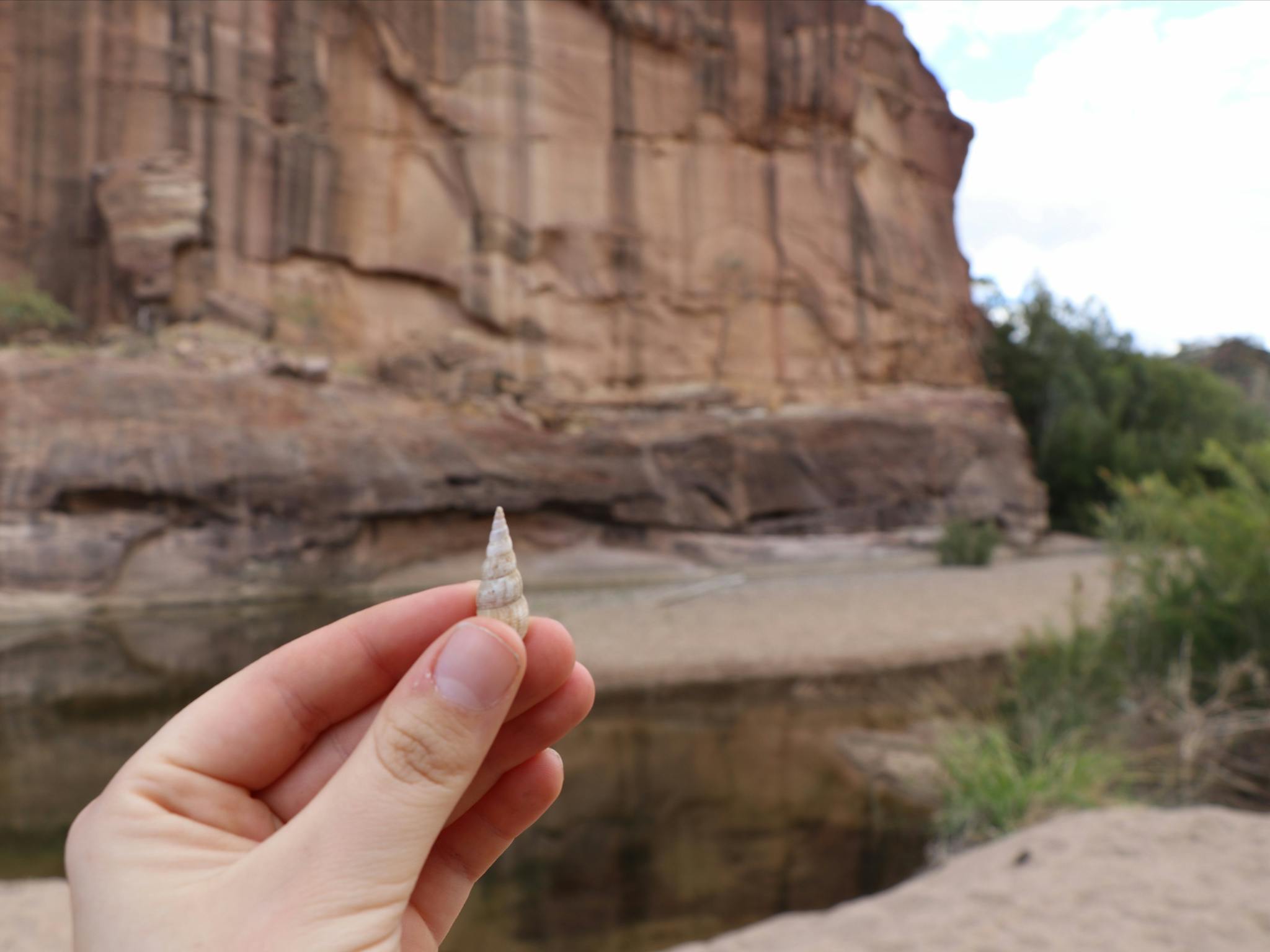 Hidden treasures of Porcupine Gorge