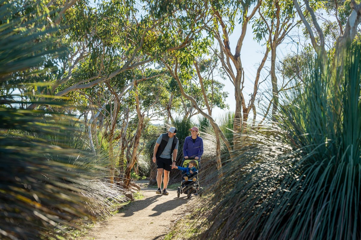 Wild South Coast Way on the Heysen Trail