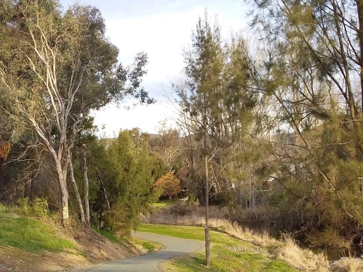 Adelong Falls Walk