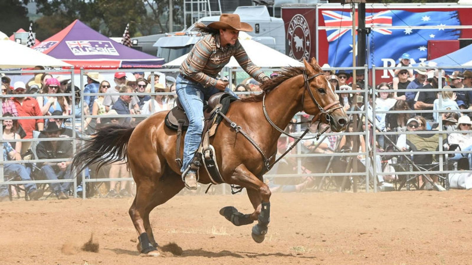 Bashore Rodeo Moreton Bay Rodeo