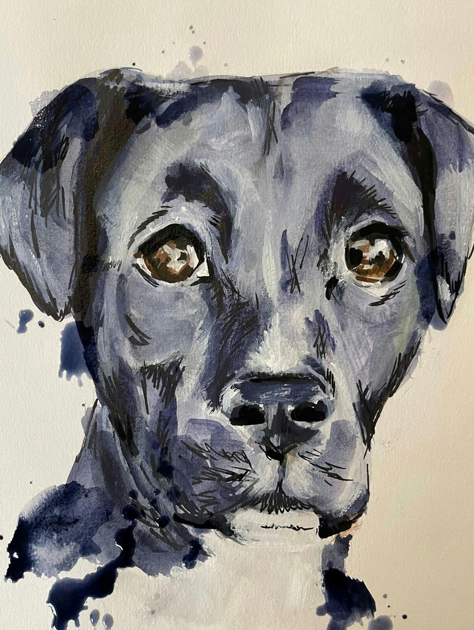 Brew Dog of the Month at Stony Creek Brewing Company