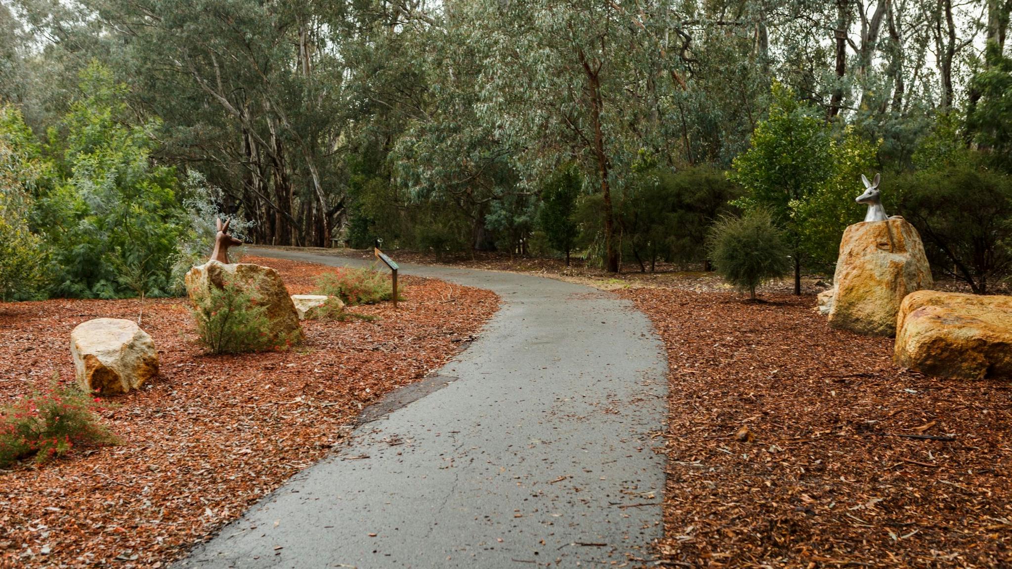 Path, bark chip along edges, rocks, kangaroo head sculptures, trees.