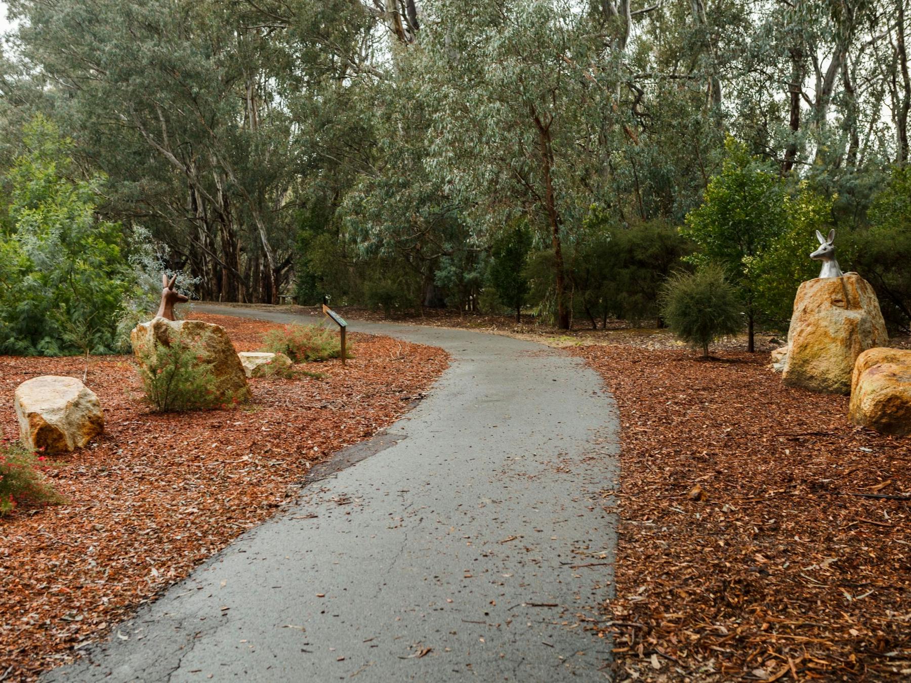 Path, bark chip along edges, rocks, kangaroo head sculptures, trees.