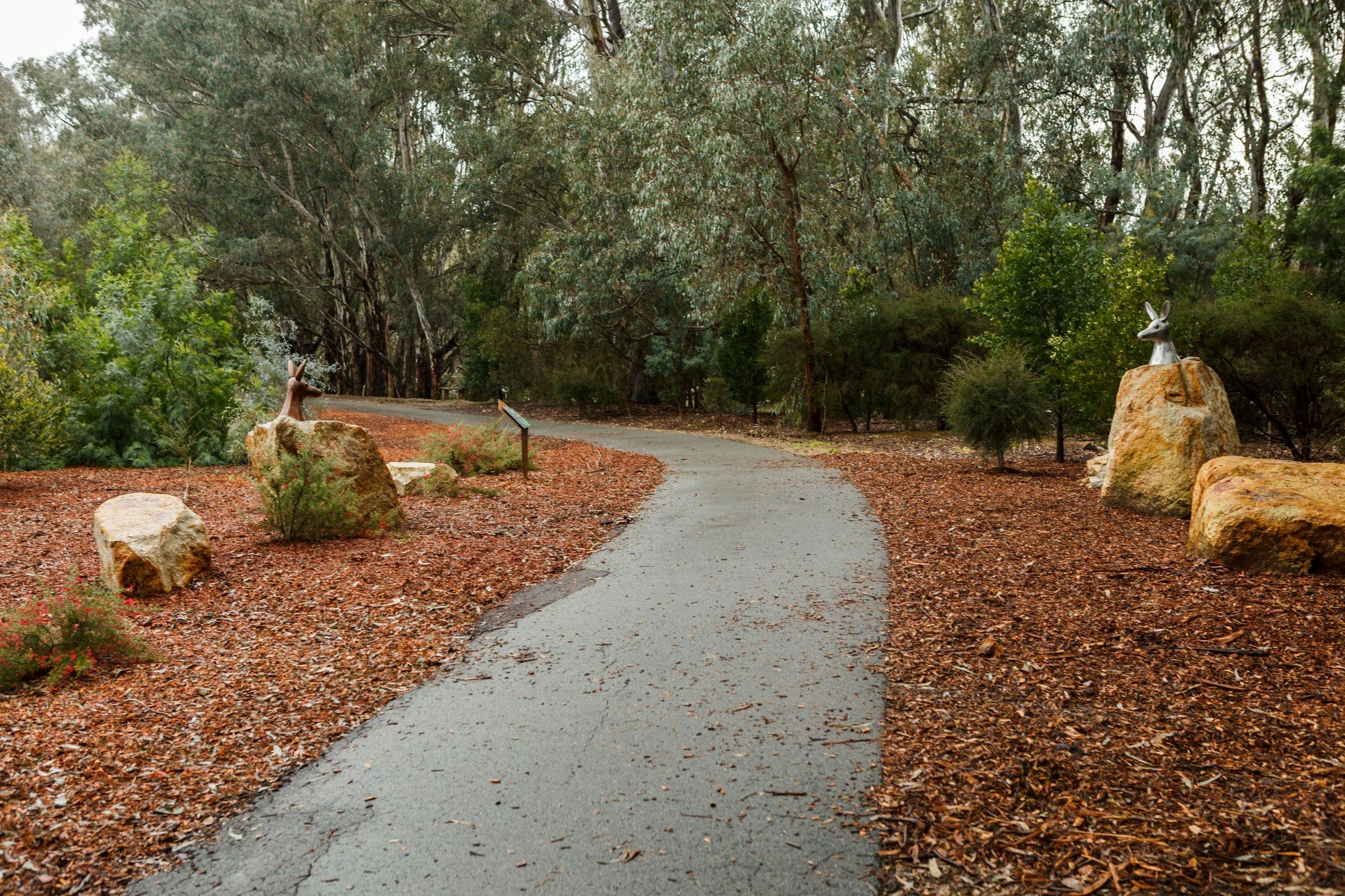 Path, bark chip along edges, rocks, kangaroo head sculptures, trees.