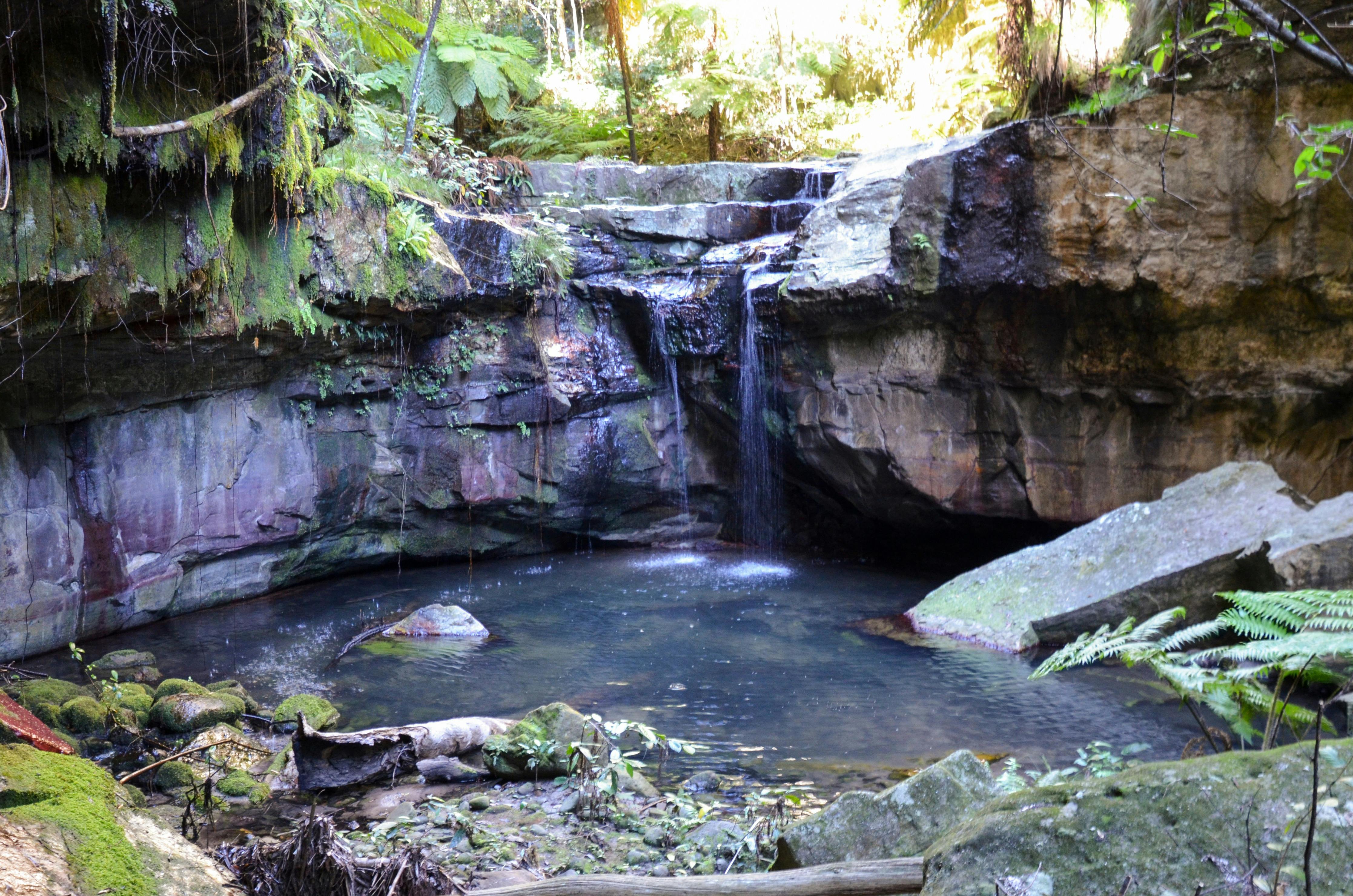 Carnarvon Gorge