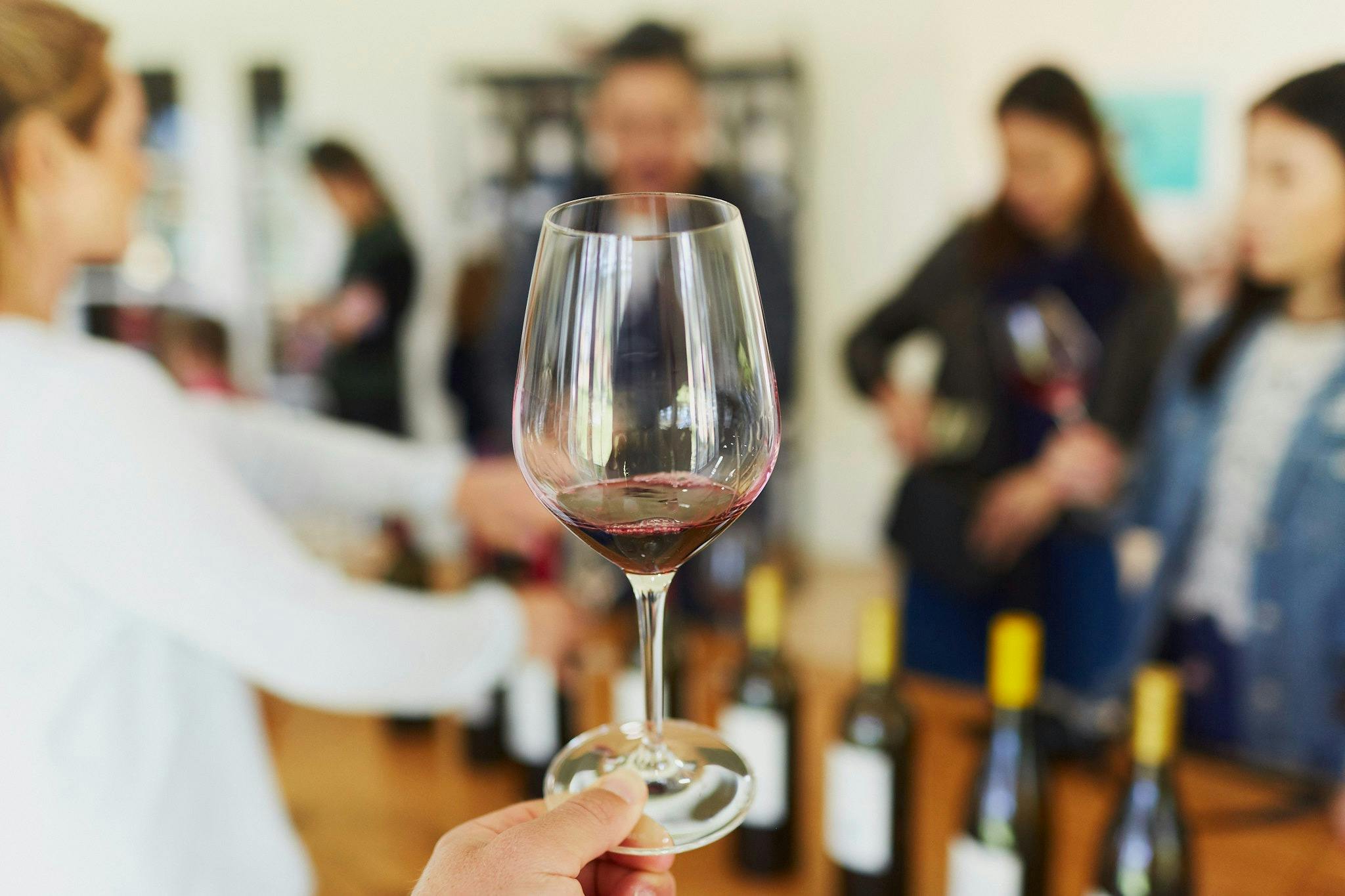 wine tasting
