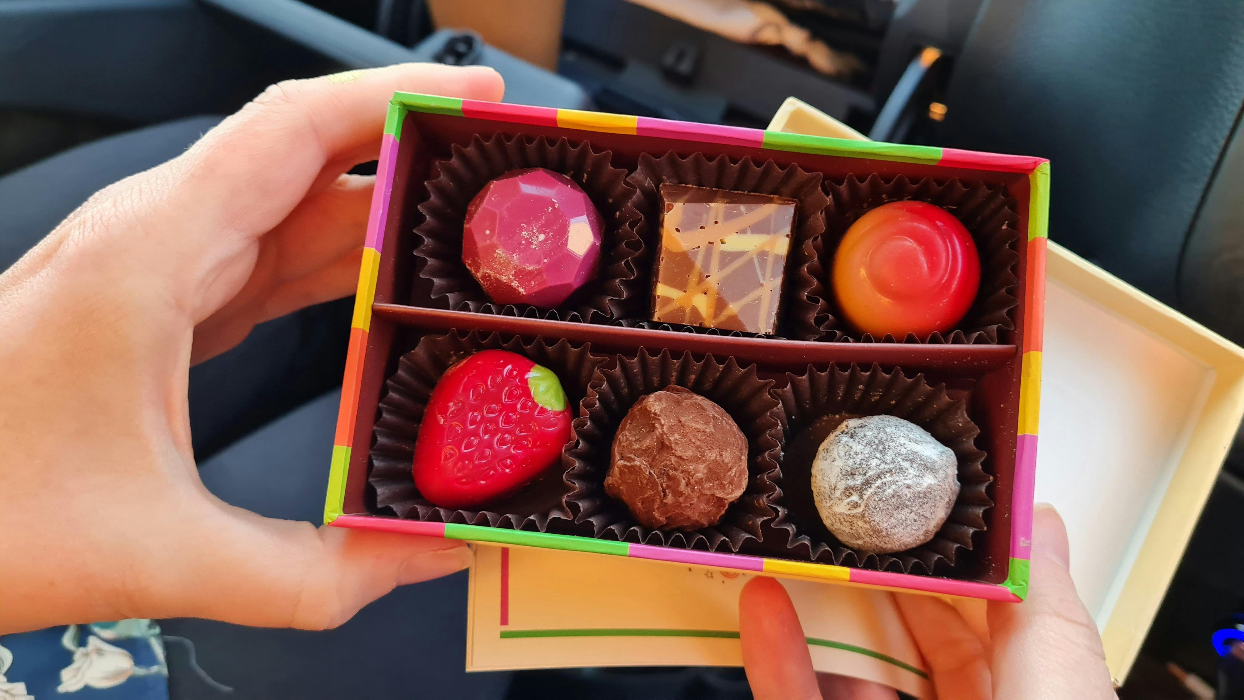 Selection of gourmet chocolates