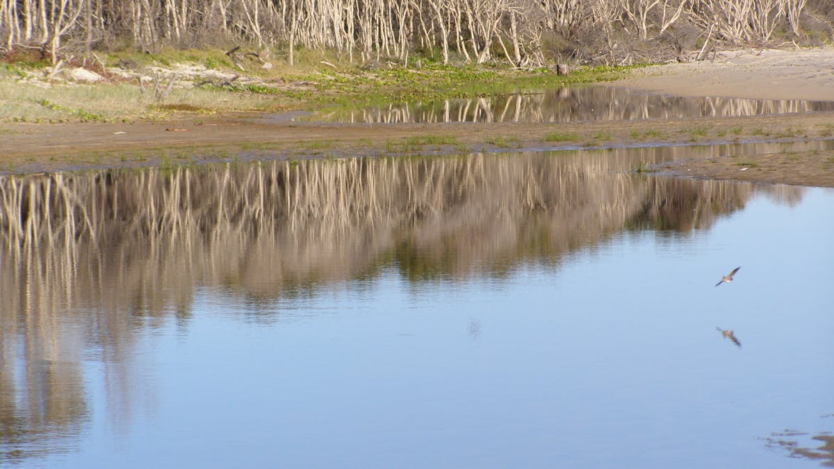 This is a photographers dream location with plenty of beautiful scenes and wildlife to choose from.