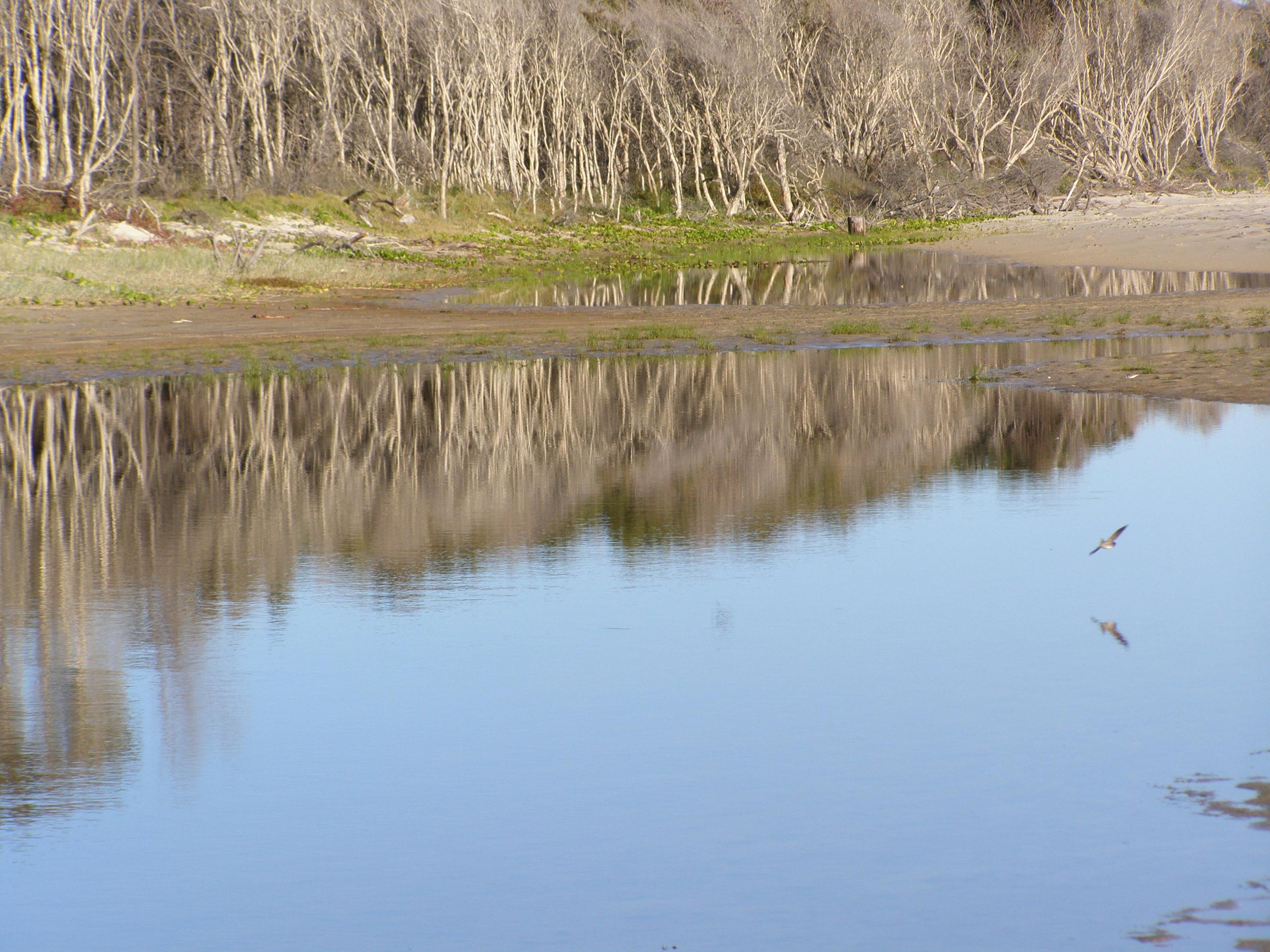 This is a photographers dream location with plenty of beautiful scenes and wildlife to choose from.