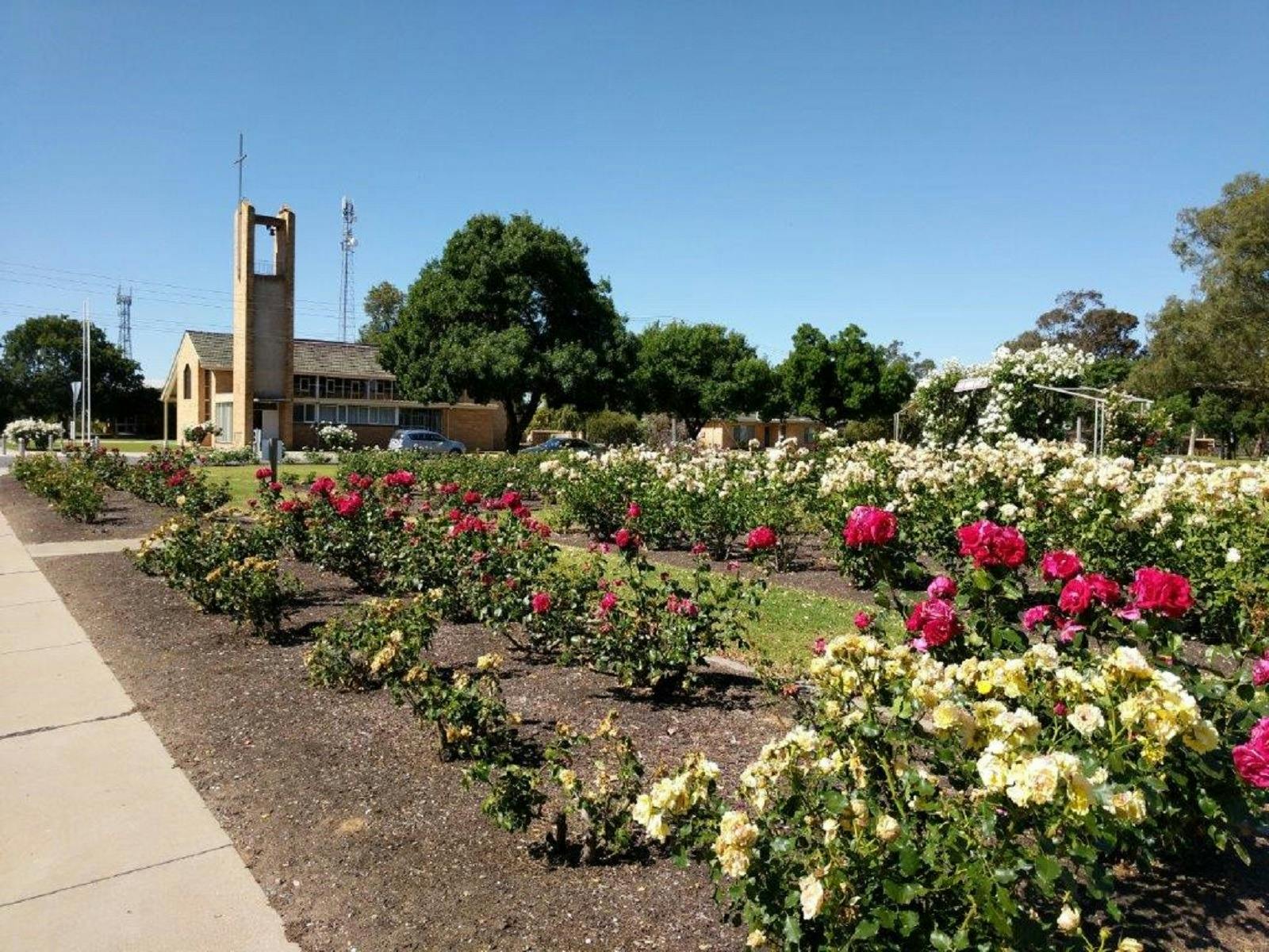 Numurkah Louis Hamon Park