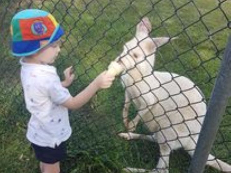 Boy and White Joey