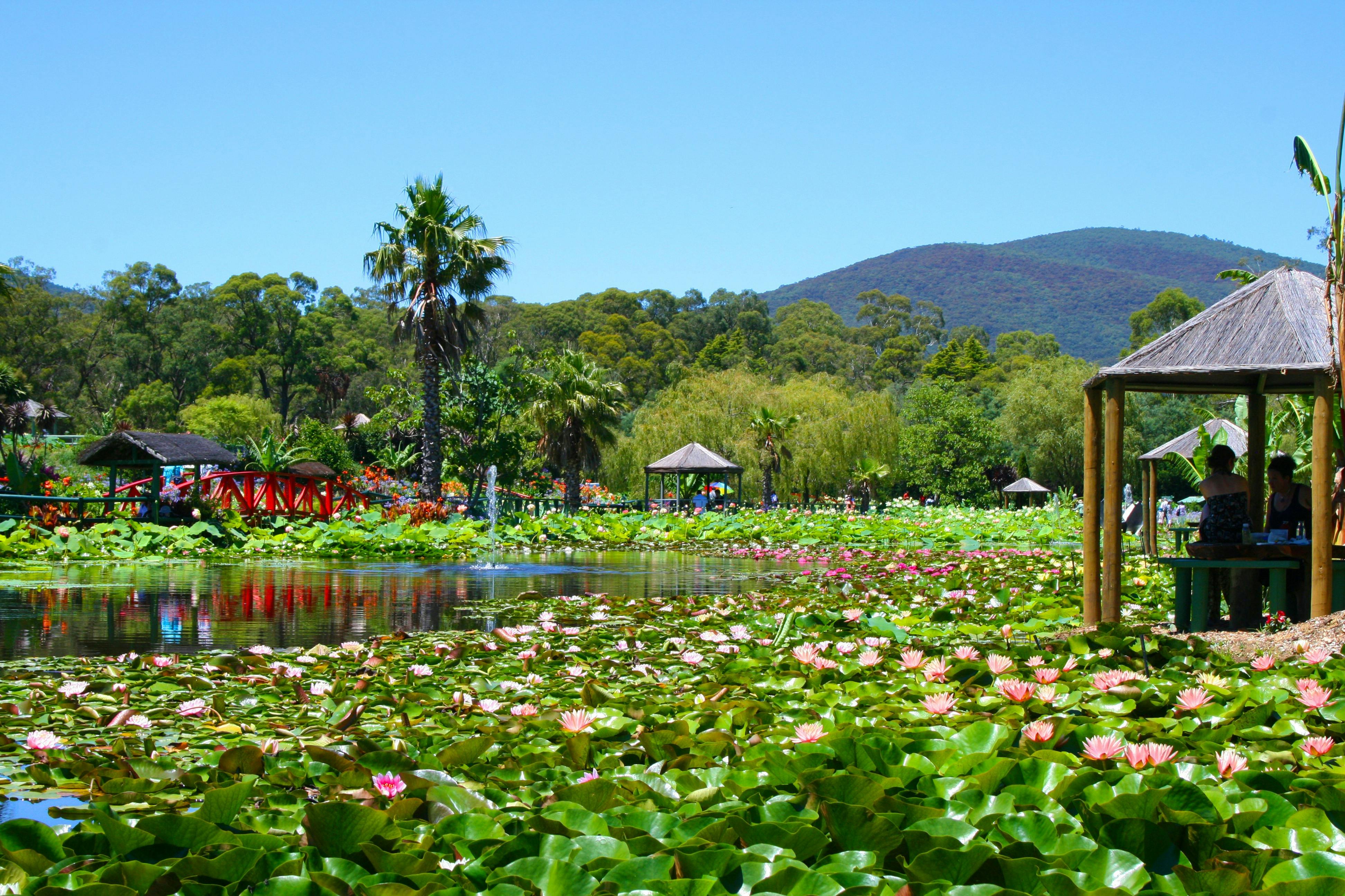Water Garden