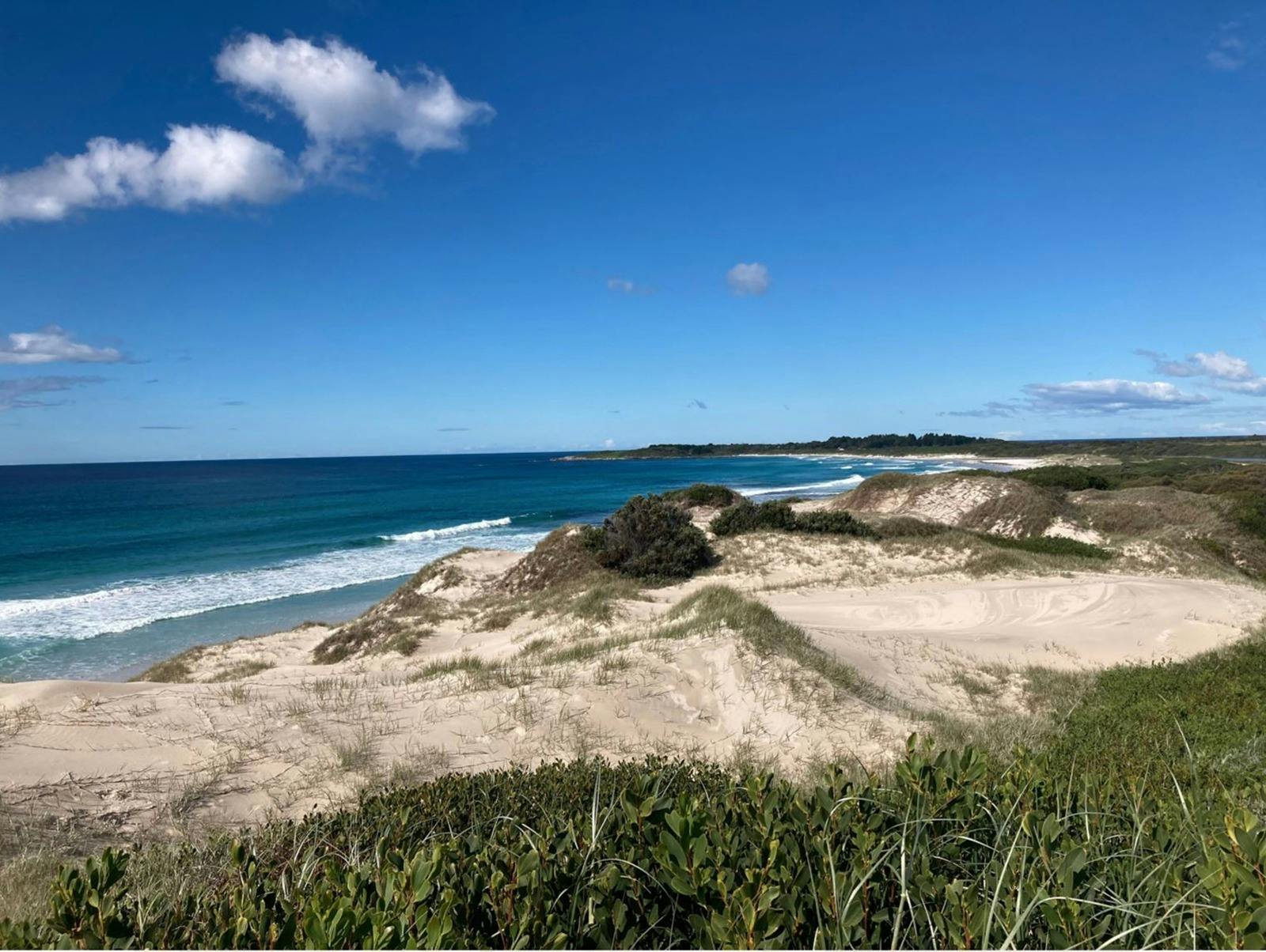 Looking back to Seymour headland from the northern beach. Great bird watching and bush walking