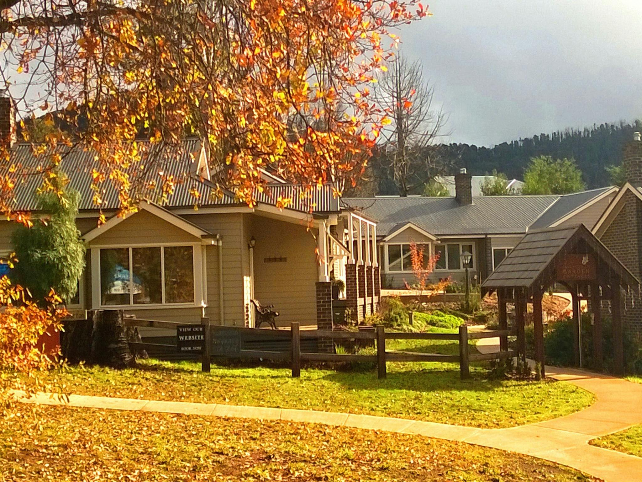 Autumn Streetview