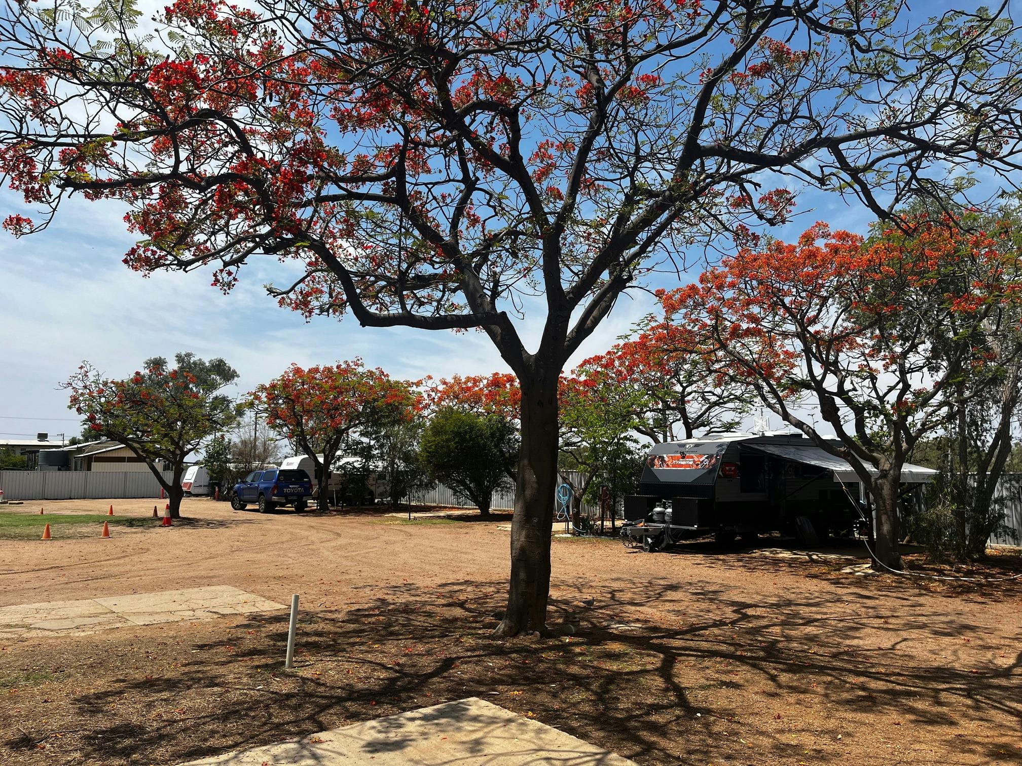Shady Caravan and Motor Home Sites