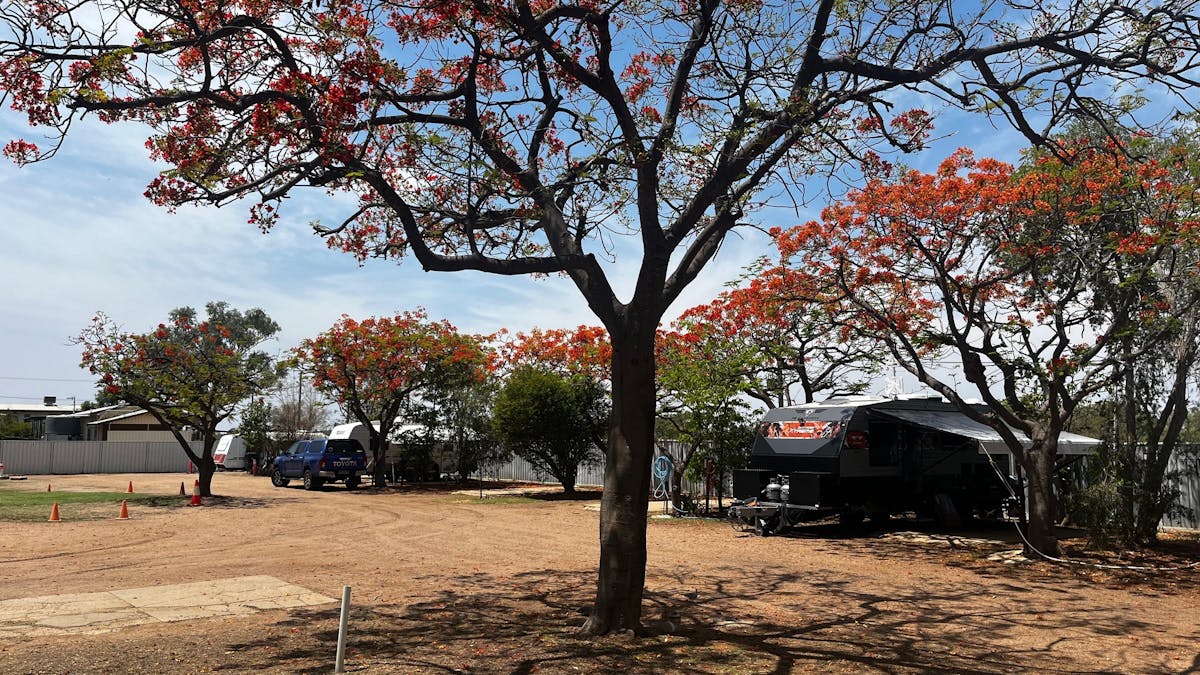 Shady Caravan and Motor Home Sites