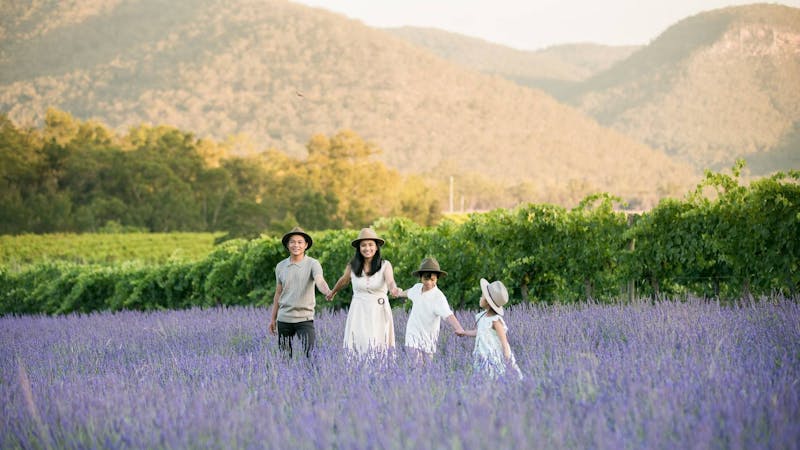Image for Lavender Field Walk and Tour