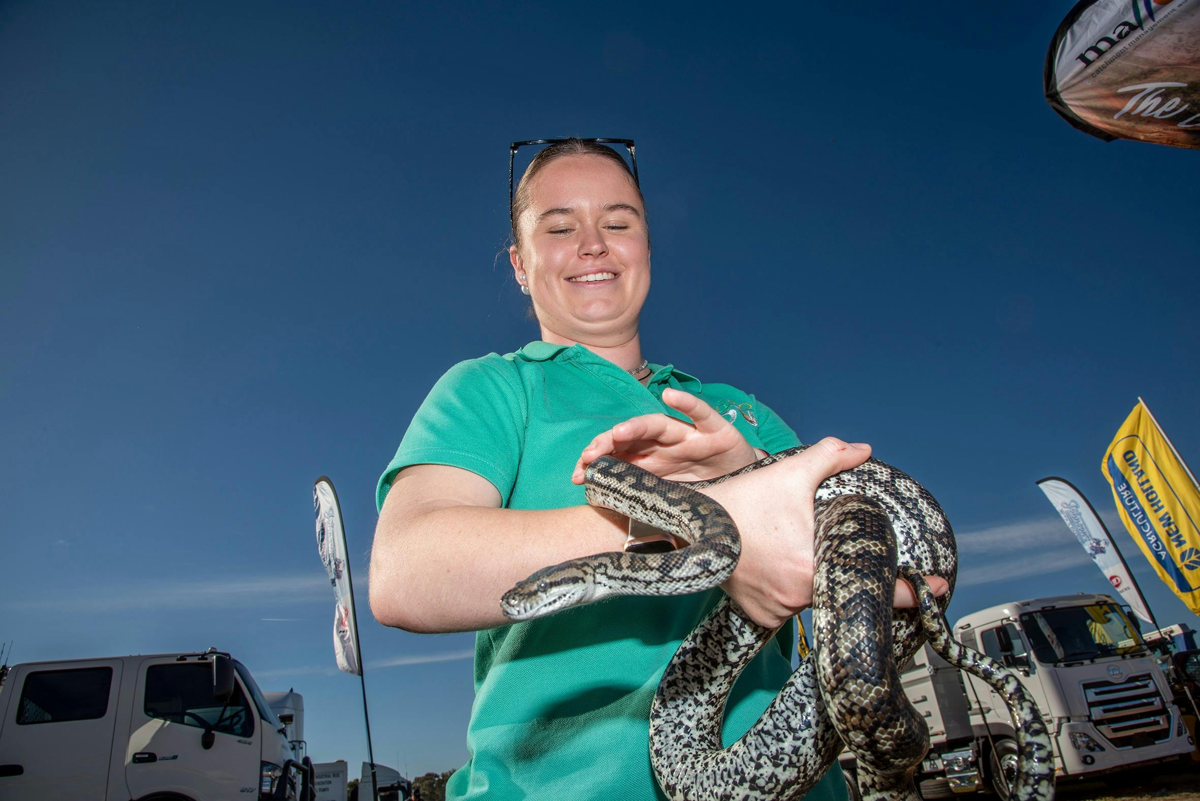 All things that slither