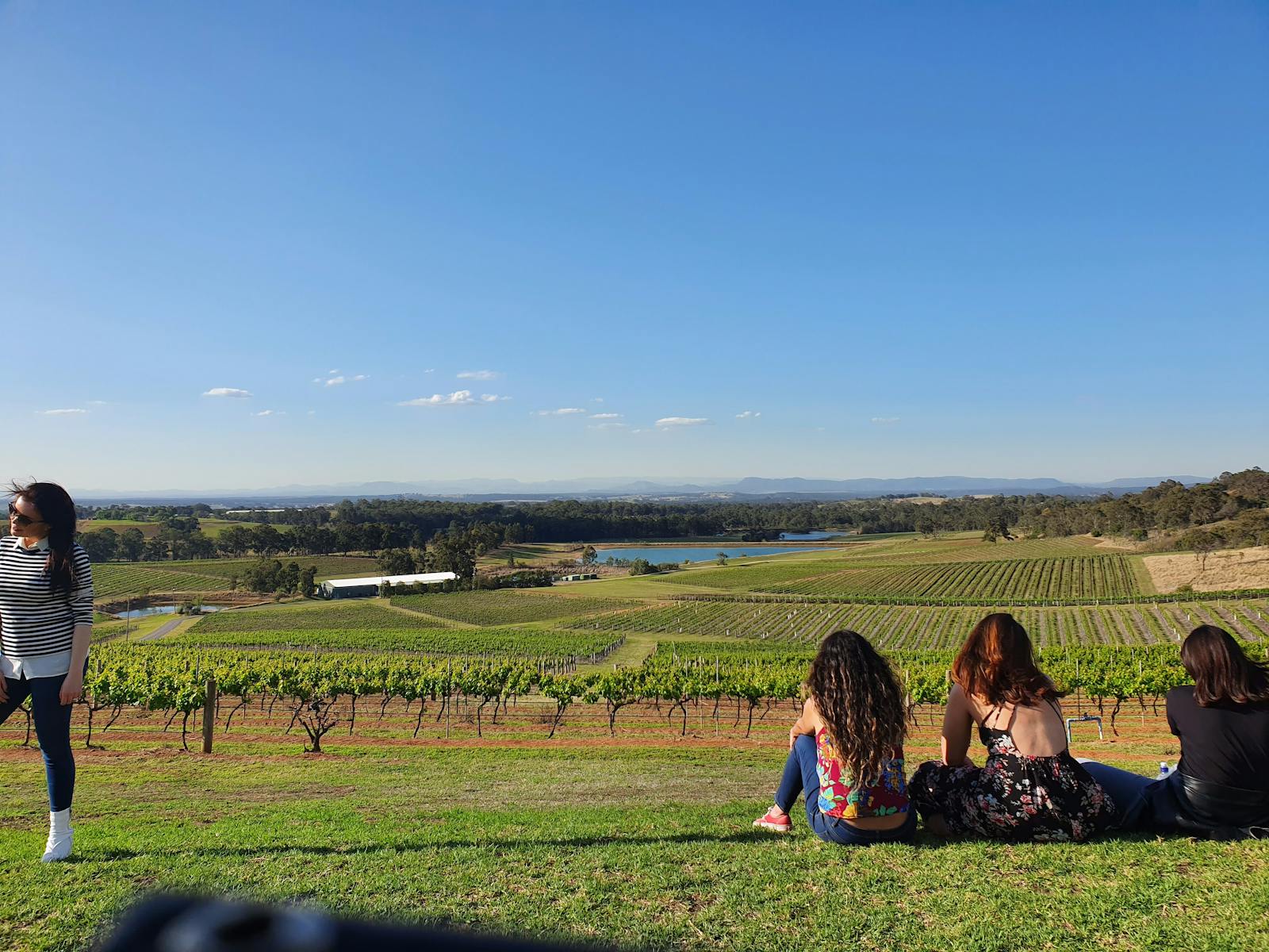 Hunter Valley Tours