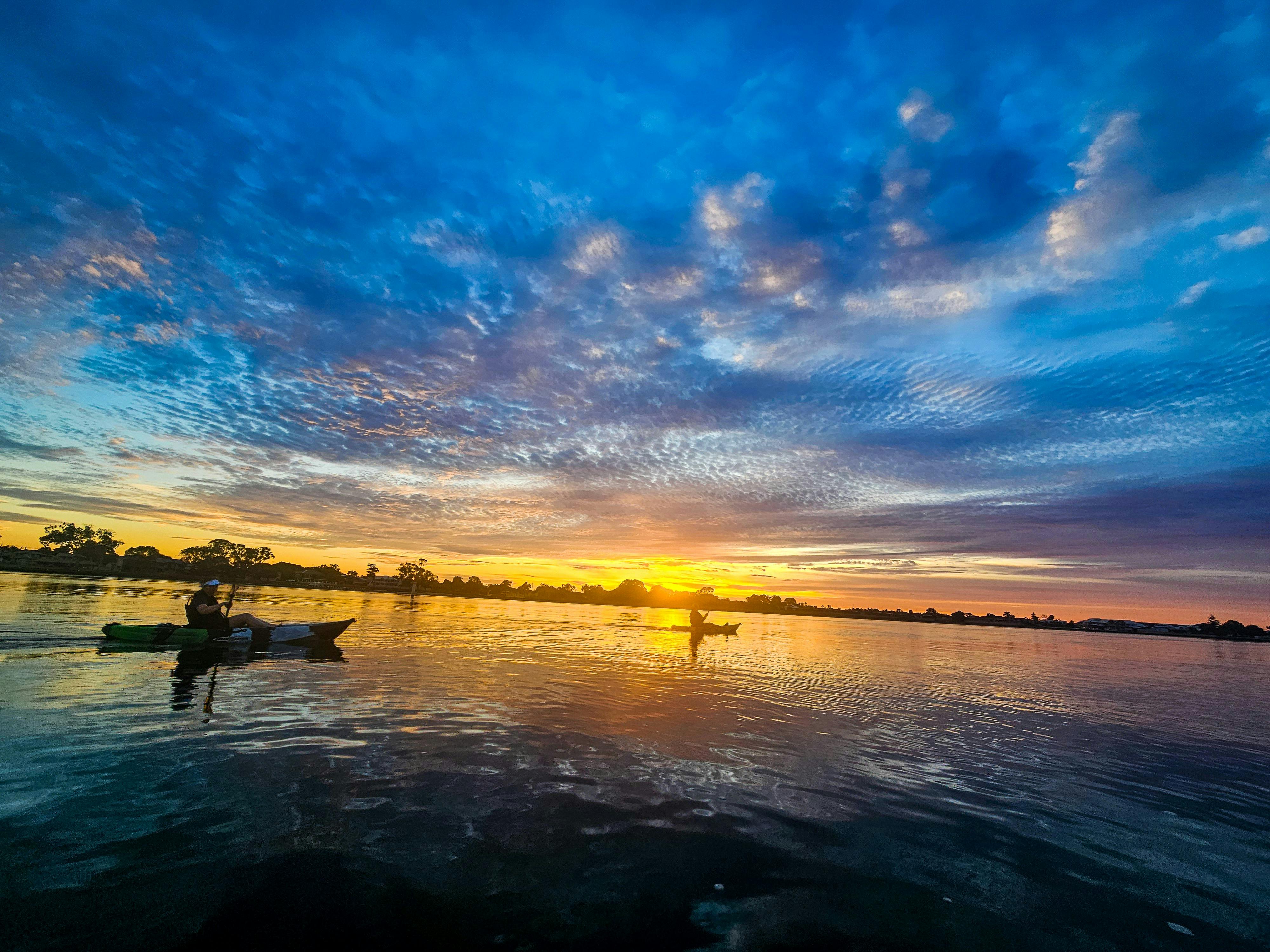 Sunrise Wildlife & Wetlands Kayaking Tour