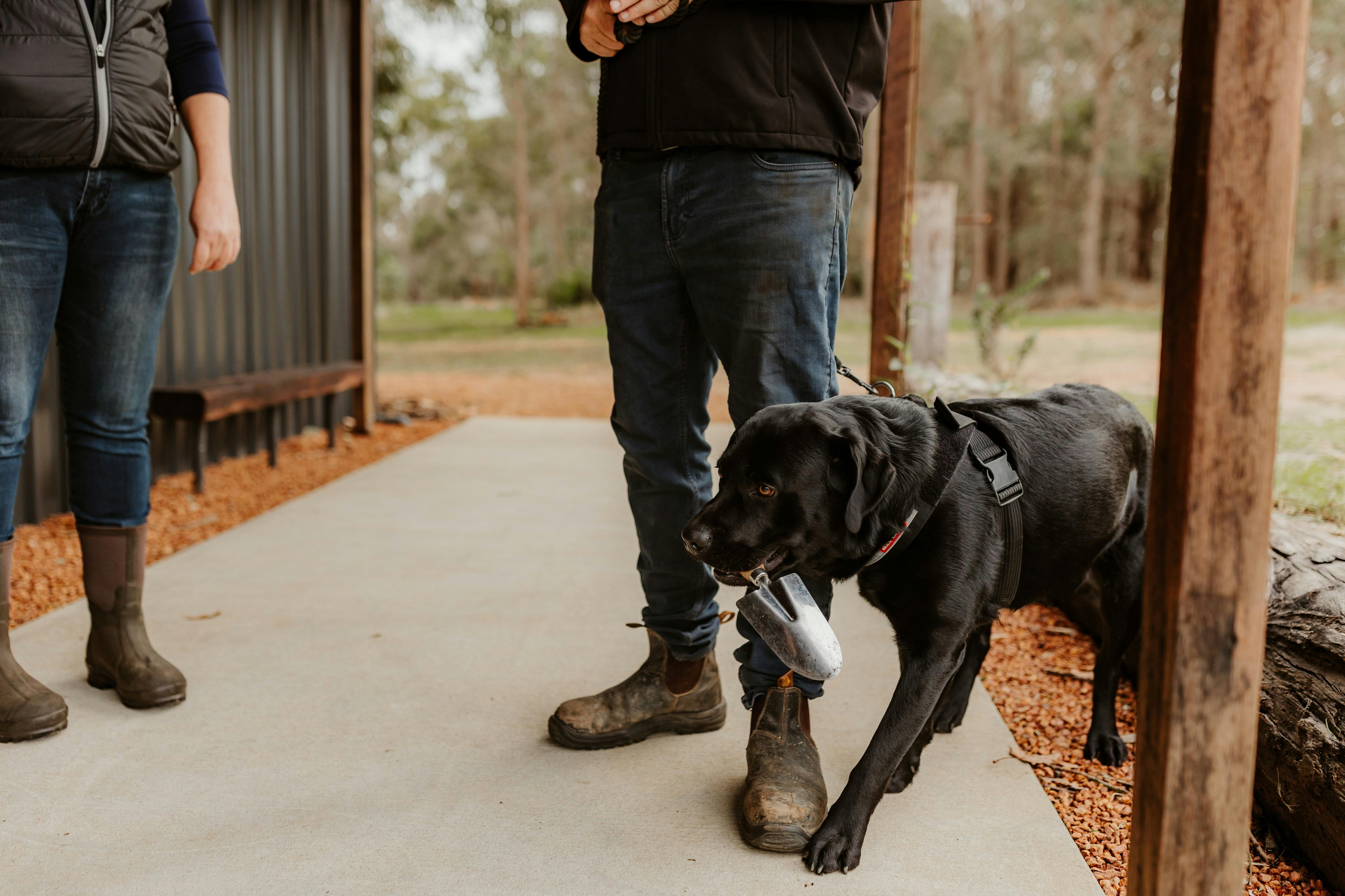 Margaret River Truffle Dog