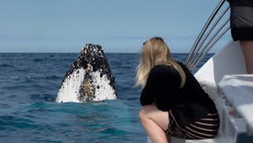 Whale Watching