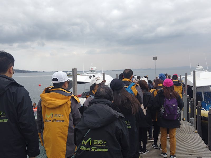 Bruny Island cruises