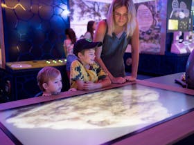 Marine Discovery Centre Viewing