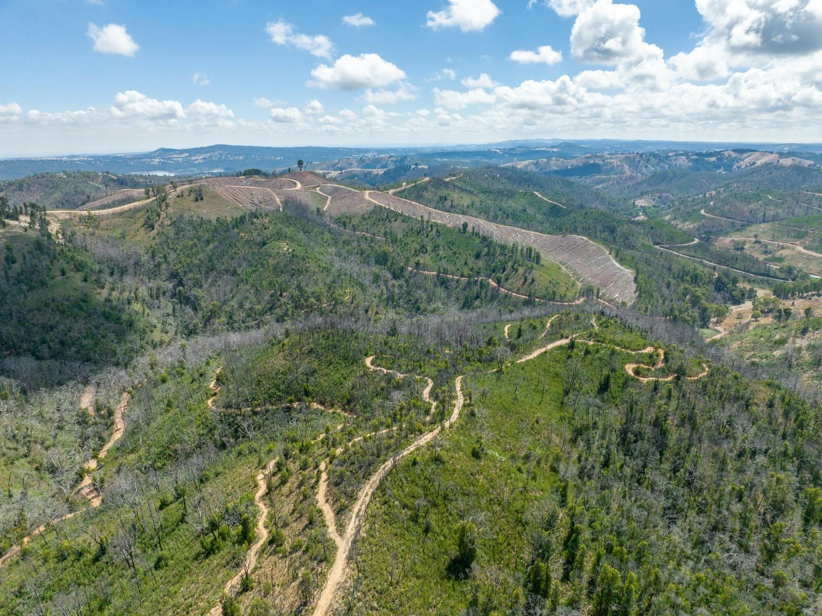Aerial View - Fox Creek
