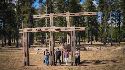 Sculpture - part of the Bago Scultpure Forest - at Sugar Pines