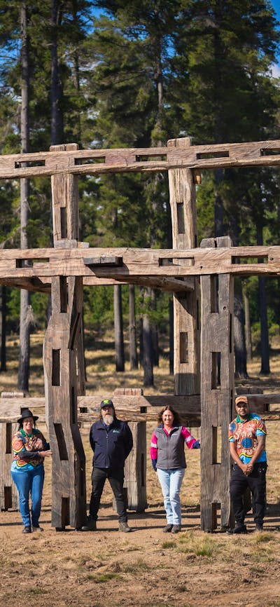 Sculpture - part of the Bago Scultpure Forest - at Sugar Pines